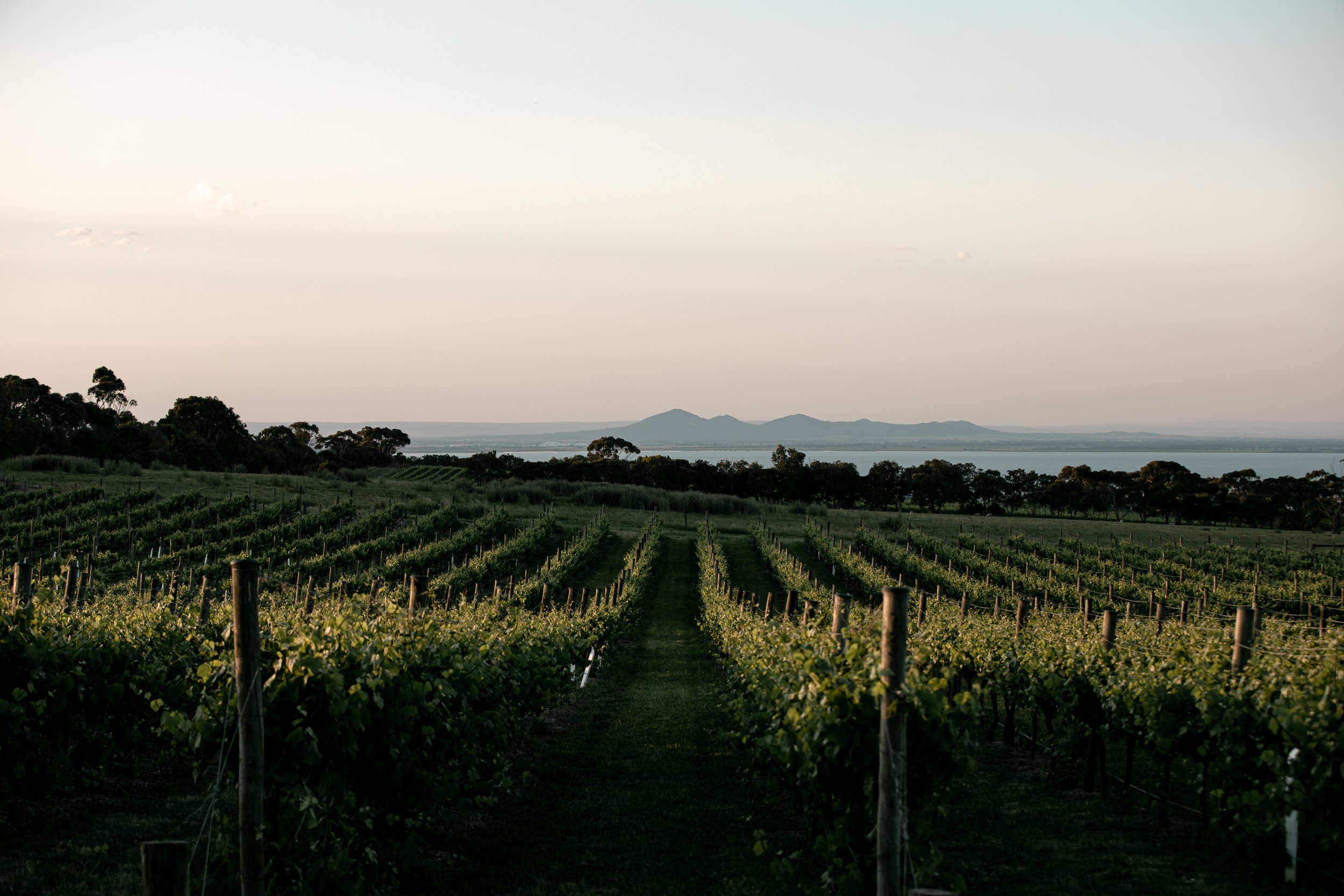 House and Land Packages Panorama Portarlington