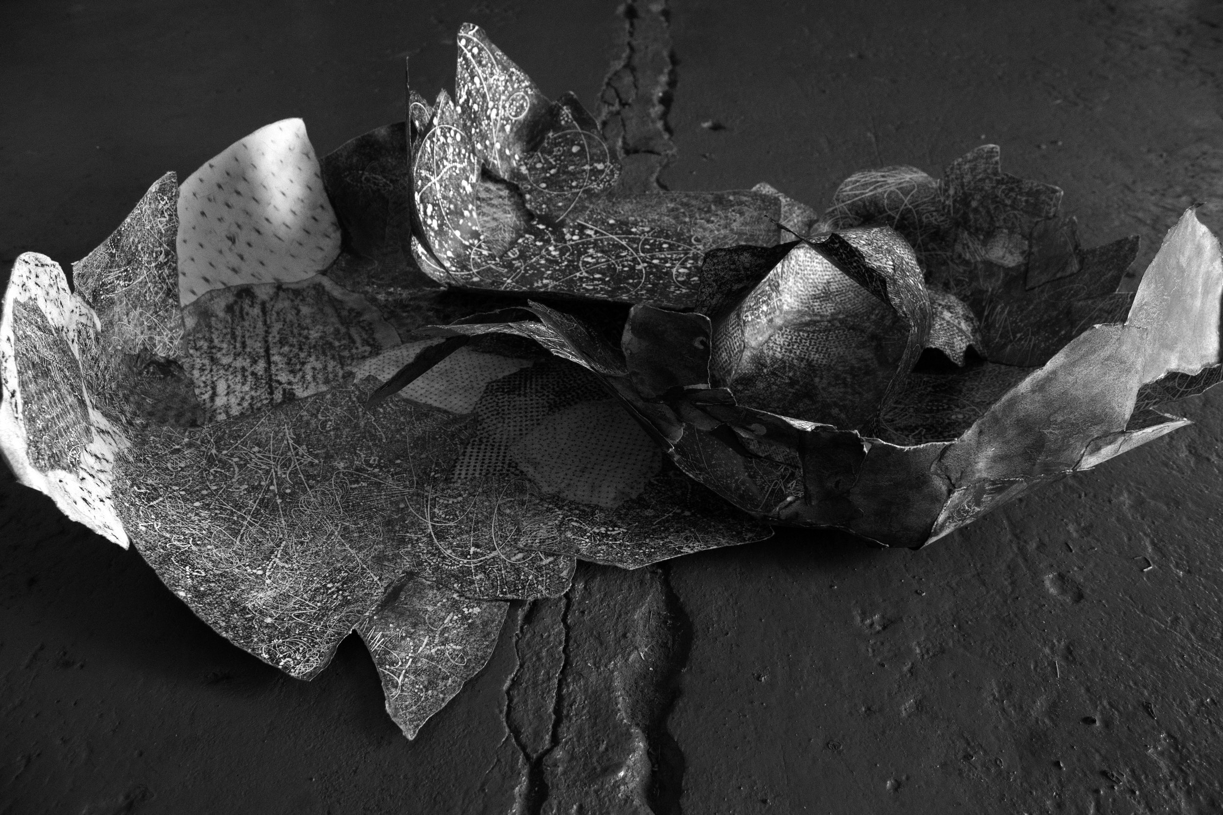 quantum shoal of clast flowers