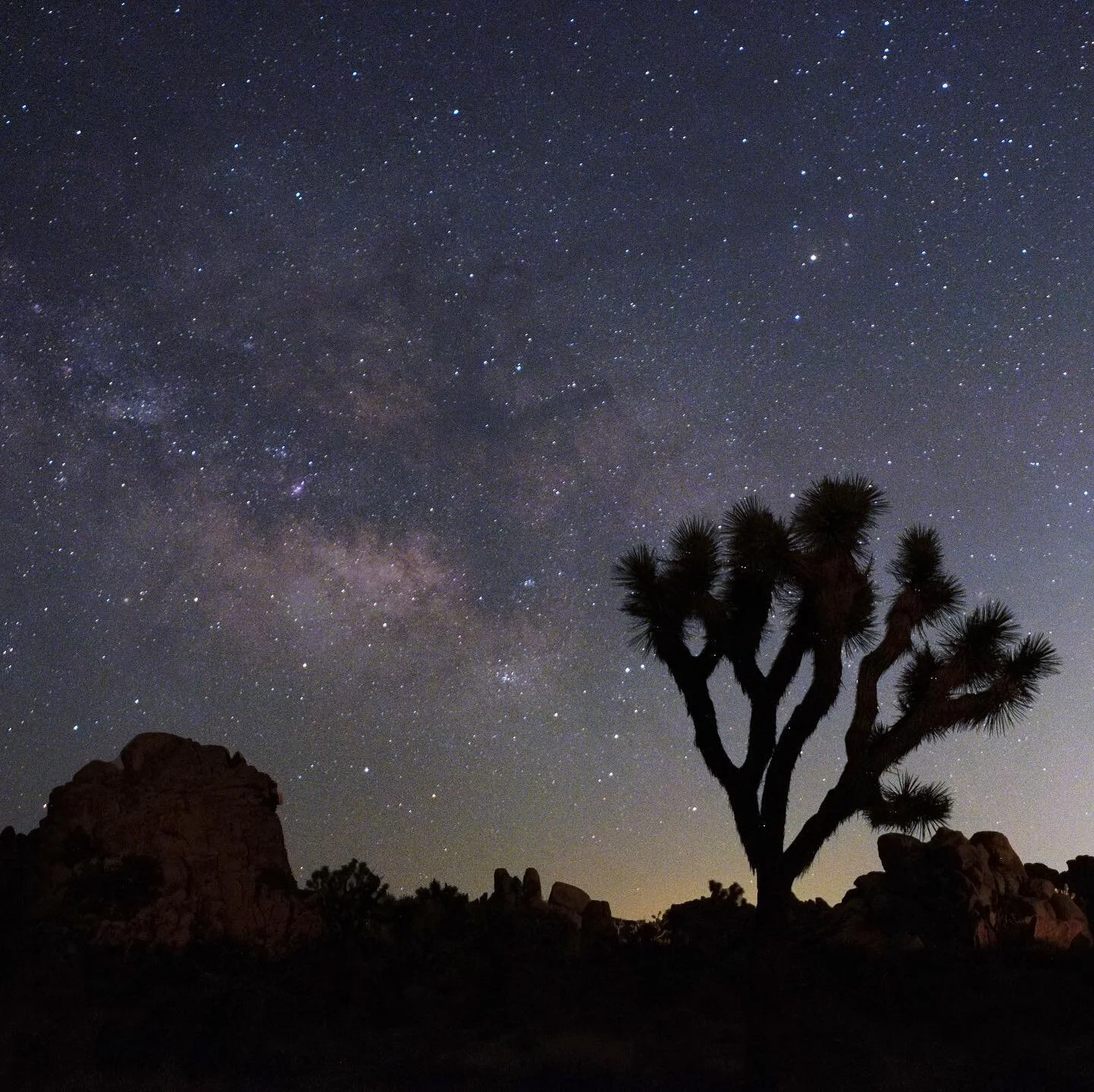 Milky Way, May 2021

#astrophotography 
#desertmag 
#fujifilm 
#joshuatree
#milkyway
#myfujifilm