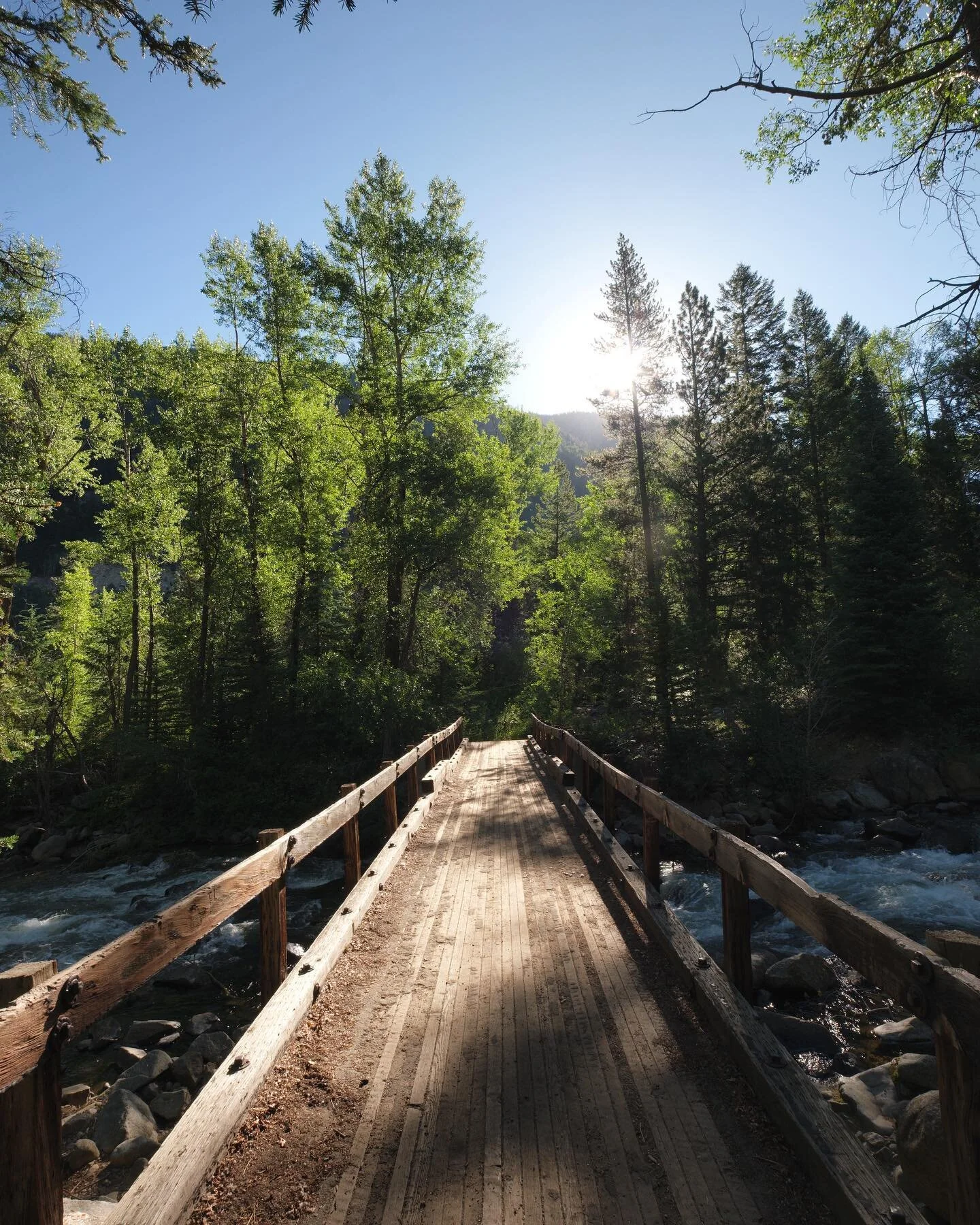 Colorado, July 2020

#aspen 
#bureauoflandmanagement 
#colorado 
#fujixpro2 
#forestriver
#upperroaringforkriver 
#visitcolorado 
#woodbridge