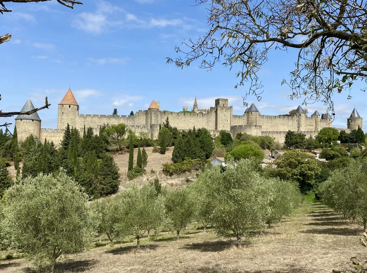 View of the medieval city of Carcassonne, Languedoc, France