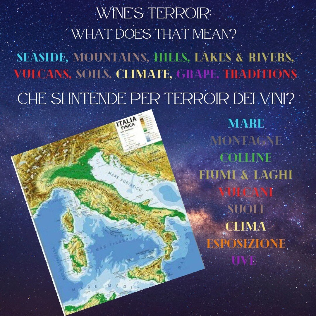 We talk about Terroir! 🍇🇮🇹🍷 Parliamo di Terroir!

Sfera wines represent different Terroirs from all over Italy. 

I vini Sfera rappresentano vari terroir provenienti da varie zone d'Italia. 

Trying our wines you can discover hidden wine regions 