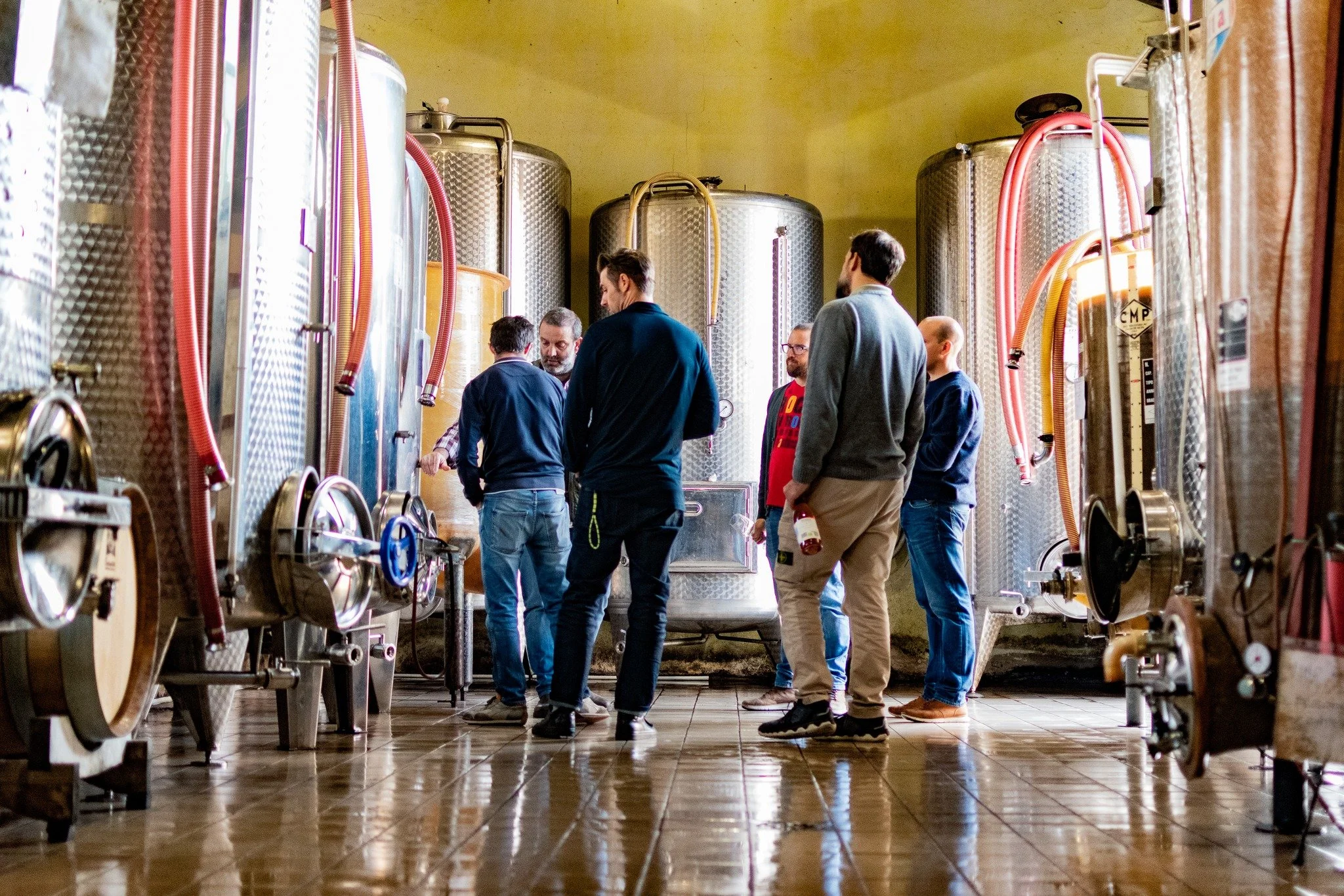 Sfera is a circle &mdash; a place where producers, terroirs and ideas meet. Where experimentation is welcome and tradition is reimagined. 💫

Sfera &egrave; un cerchio &mdash; un punto d&rsquo;incontro tra produttori, territori e idee. Dove la sperim