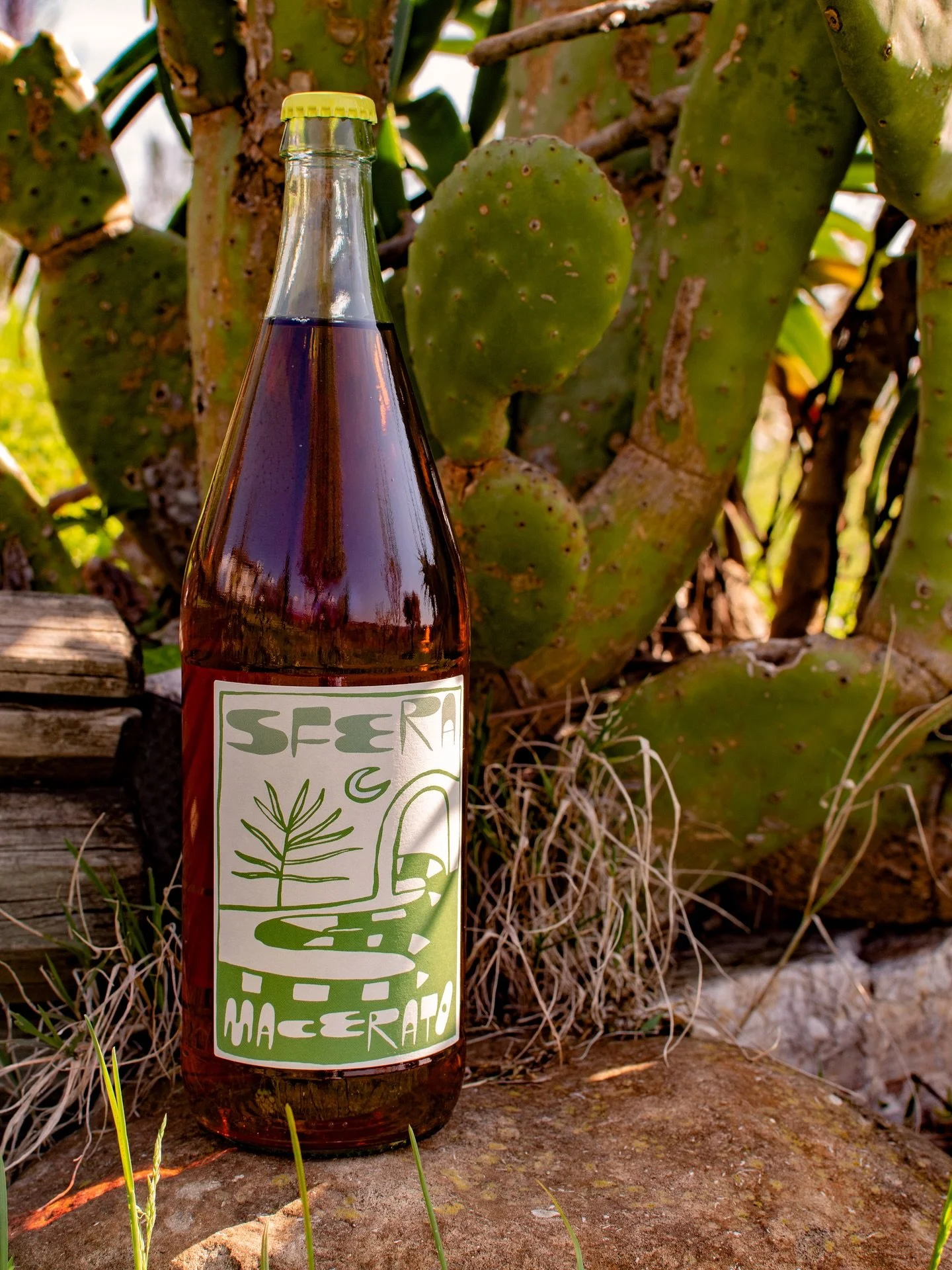 🌵 Catarratto in Sicily is living matter.
With Sfera, we let it speak all the way through.

A white wine that becomes a Macerato (skin-contact), staying on the skins long enough to gain structure, depth, and time. The result is a grounded wine: textu