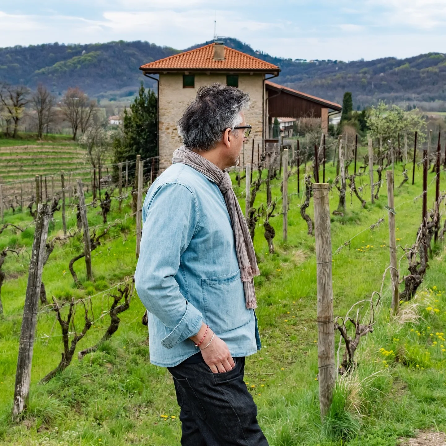 An expression of purity and quiet elegance:
Sfera Bianco reveals the refined soul of Ribolla Gialla through precision, balance, and timeless style.

💫 Did you know?
Ribolla Gialla has been cultivated in Friuli for centuries and was once prized among