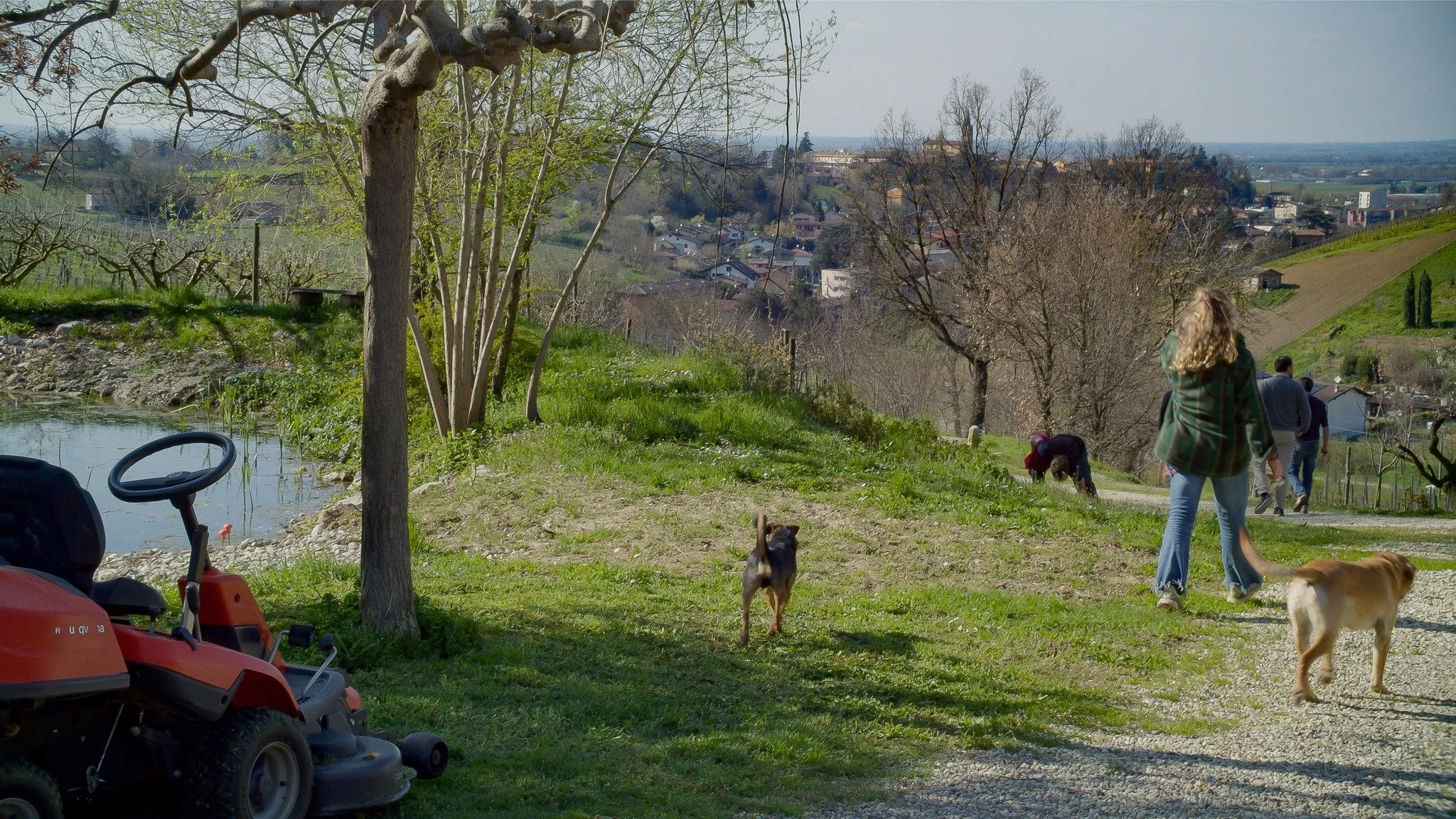 Every bottle tells the story of a hillside.
Behind every cork, a simple, precise gesture.
This is the slow rhythm we love. 🍷

#SferaWine #ItalianStyle #SustainableFarming #OrganicWine