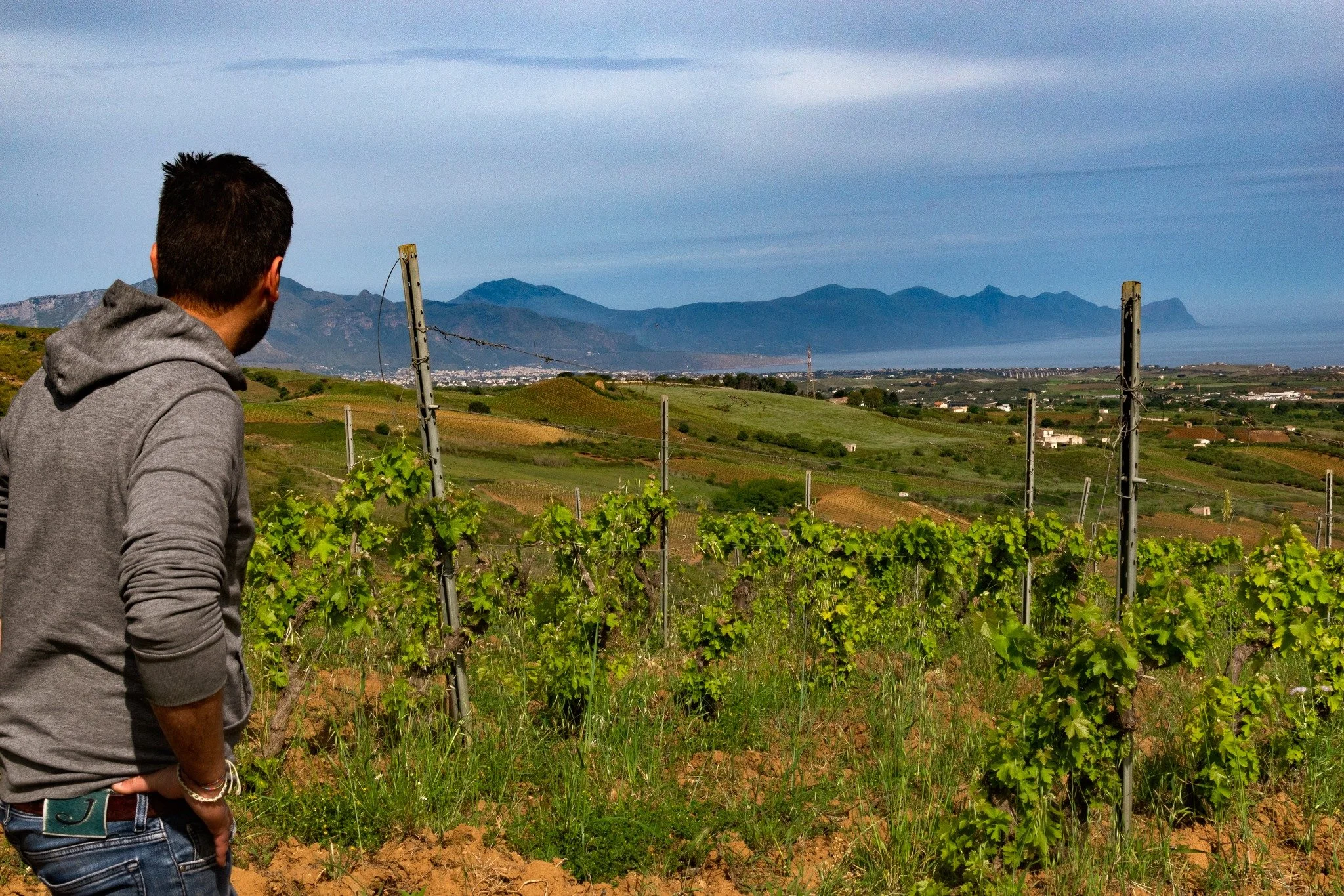 Sfera Stories / Le Storie di Sfera
Behind every bottle, there&rsquo;s a story &mdash; from the vineyard to the glass. Stay tuned for our upcoming series where we dive into the lives of our winemakers.

Dietro ogni bottiglia c&rsquo;&egrave; una stori