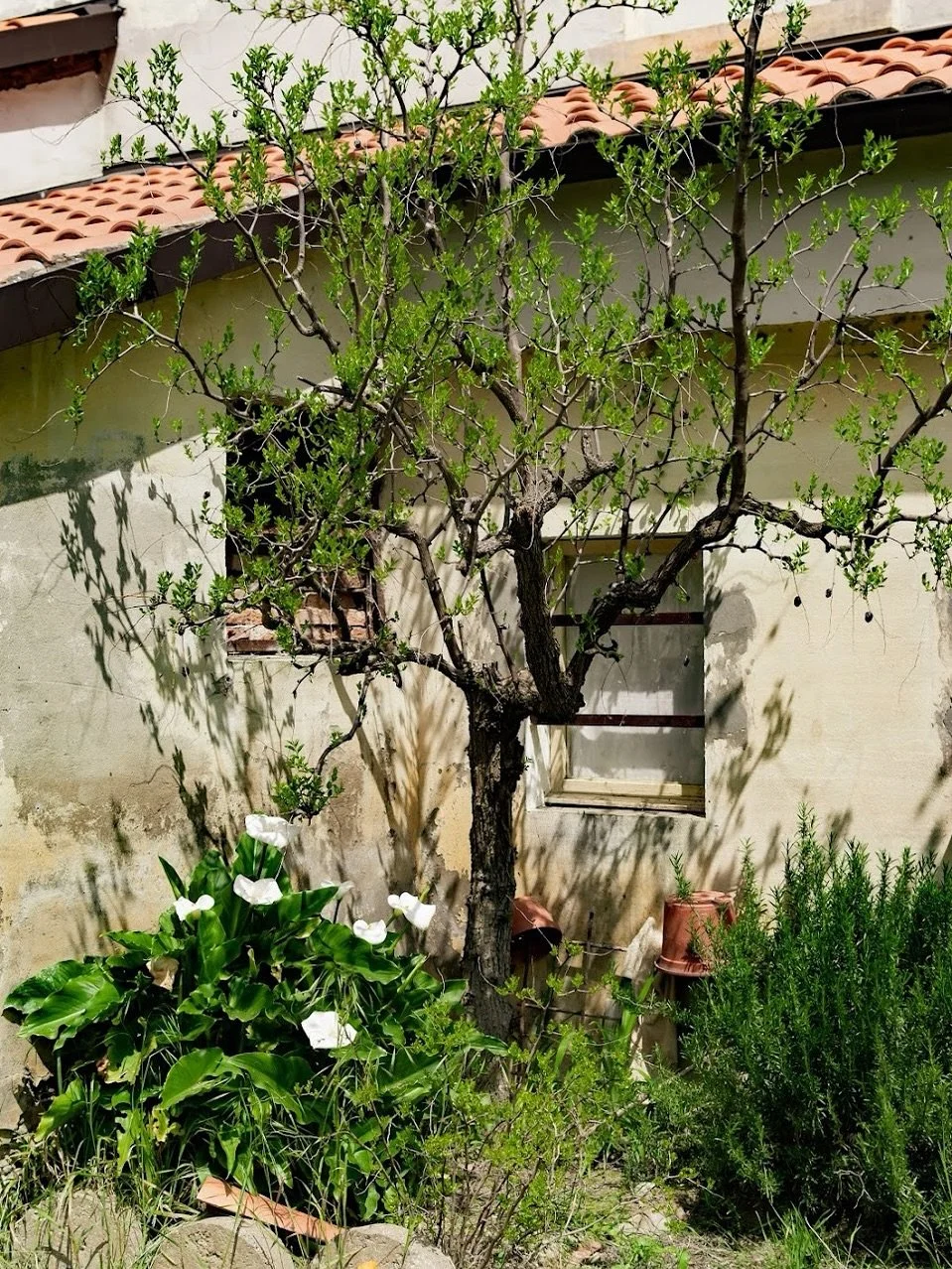 Sfera isn&rsquo;t born to be perfect.
It&rsquo;s born to tell a place.
This is our idea of perfection. 😇

#SferaWine #tellastory #italianTerroir