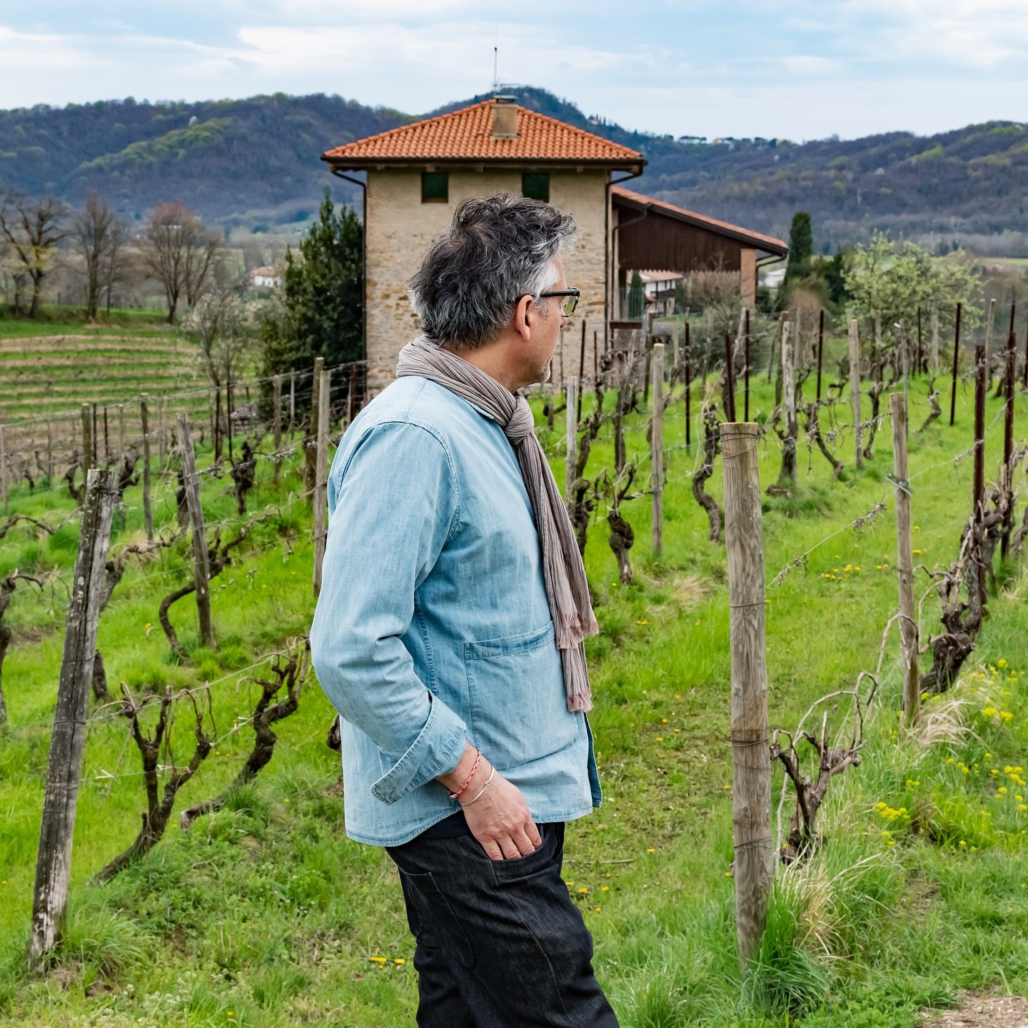 An expression of purity and quiet elegance:
Sfera Bianco reveals the refined soul of Ribolla Gialla through precision, balance, and timeless style.

💫 Did you know?
Ribolla Gialla has been cultivated in Friuli for centuries and was once prized among