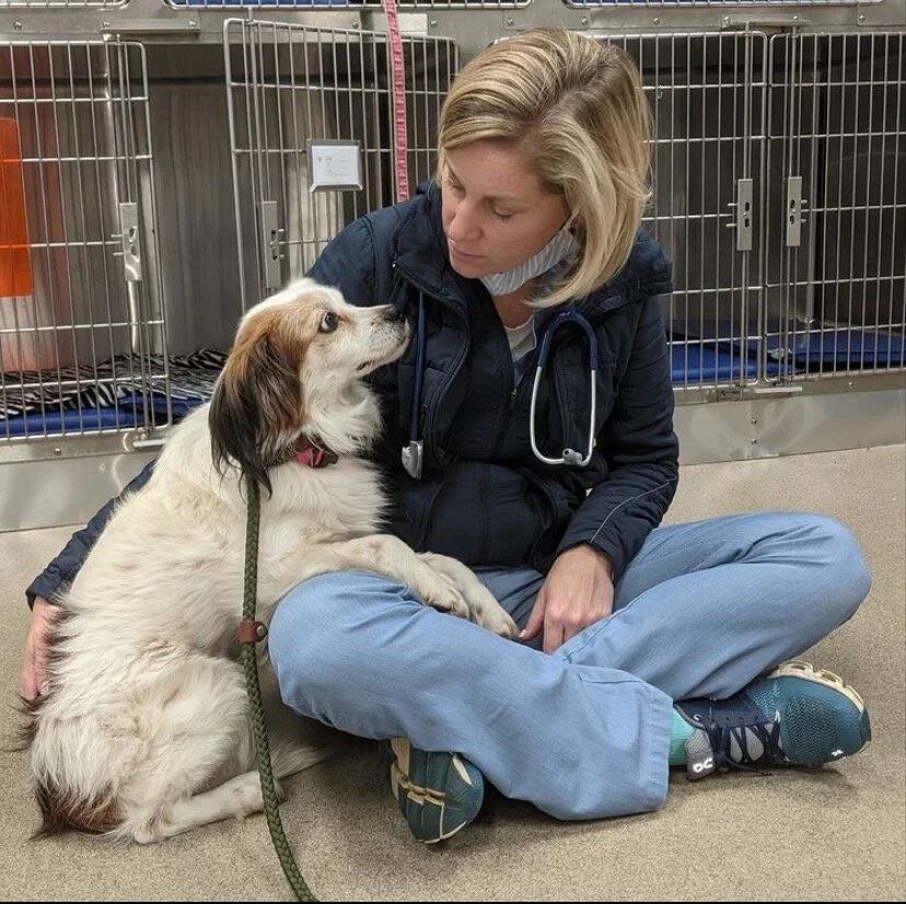 Screenshot 2020-12-29 at 7.57.40 PM.jpeg