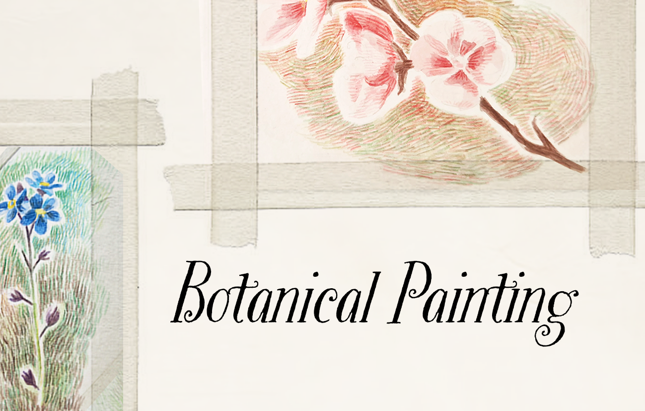 Botanical Painting