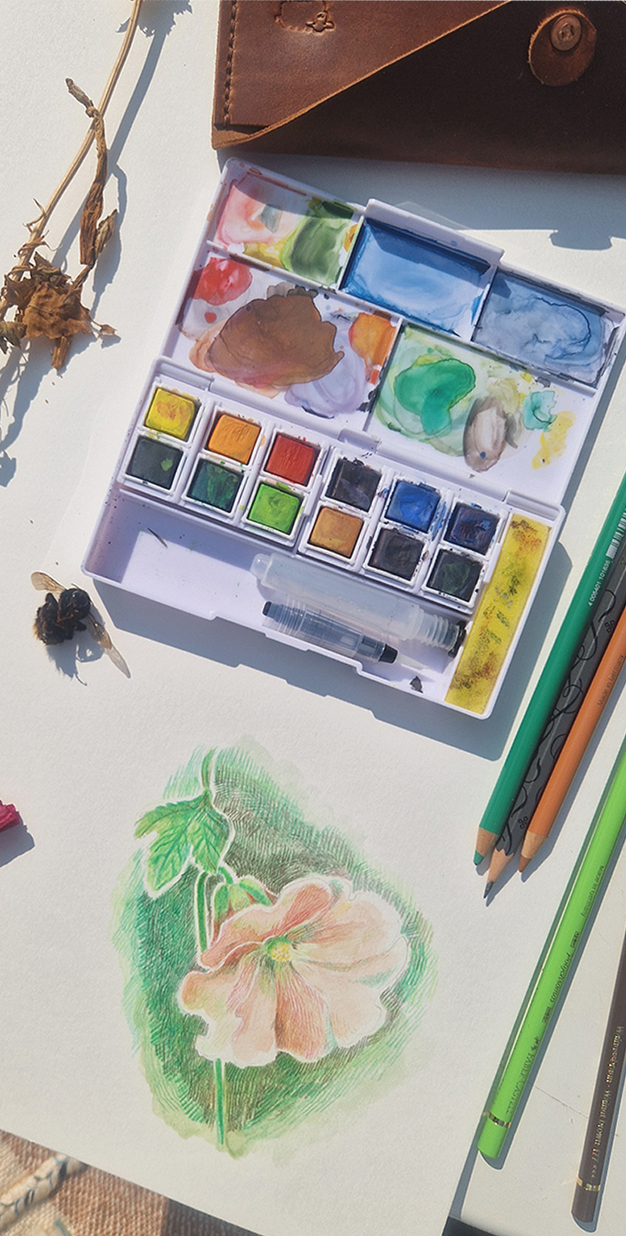 Painting Nature