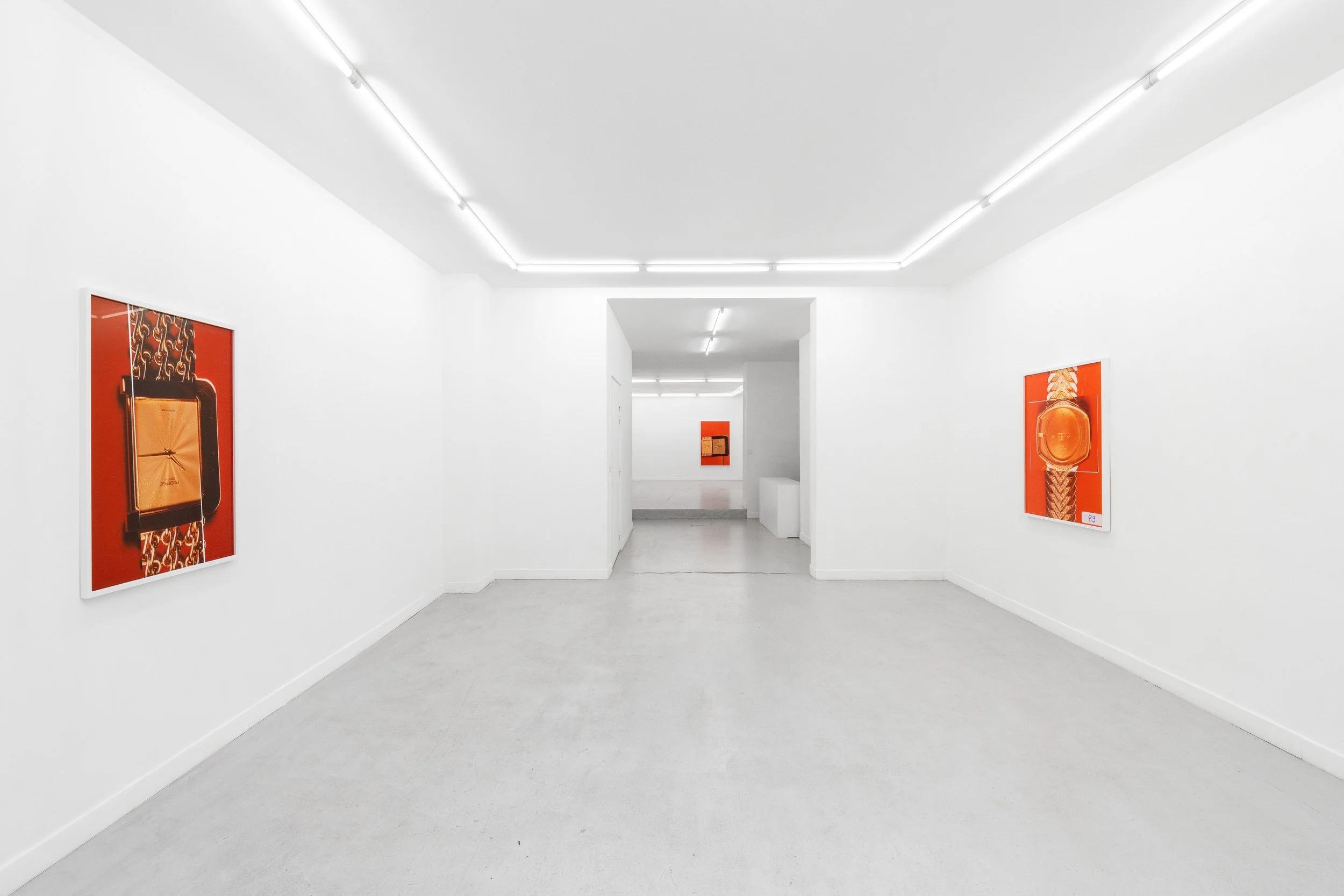 Exhibition view, Alfredo Aceto, Swans The Off Like the Concorde , 2025, Parliament, Paris