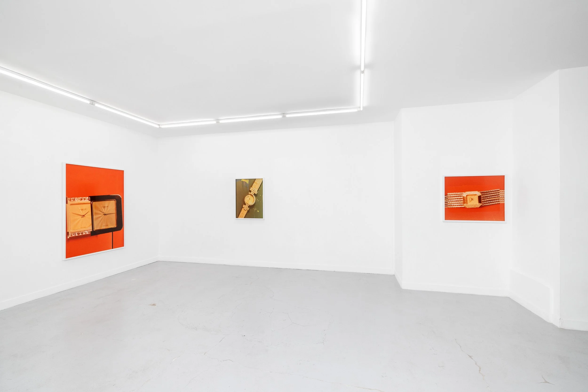 Exhibition view, Alfredo Aceto, Swans The Off Like the Concorde , 2025, Parliament, Paris
