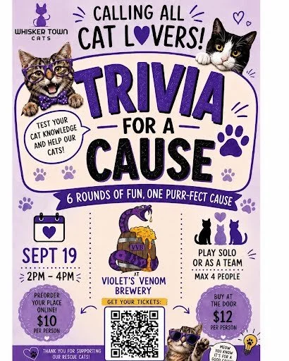 Trivia for a Cause: Supporting Whisker Town