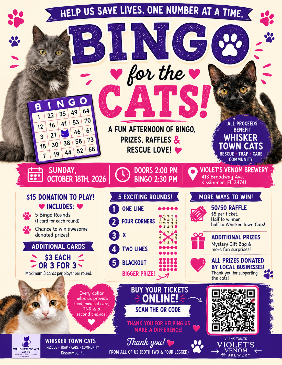Bingo for the Cats: Supporting Whisker Town