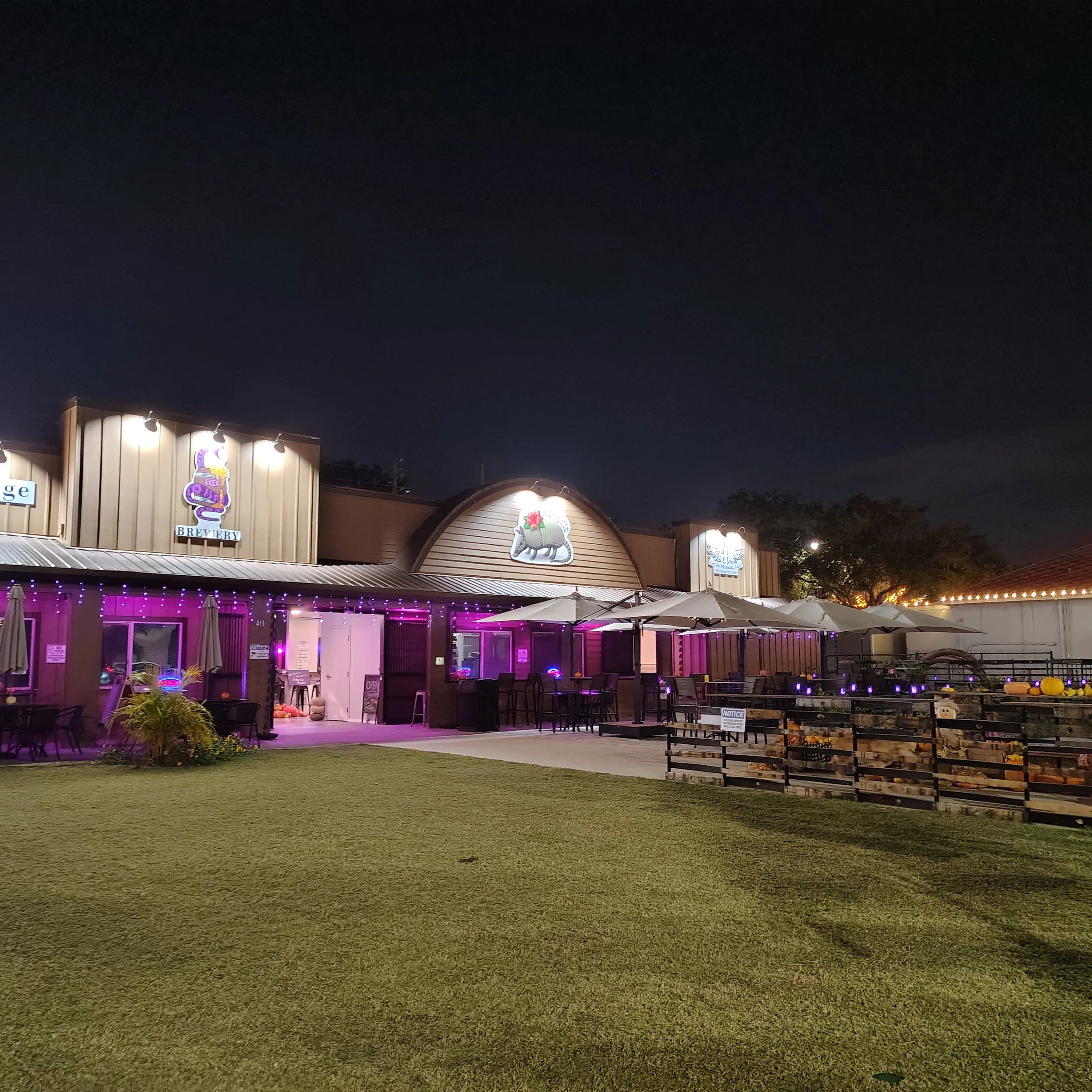 Nighttime at Violet's lawn 