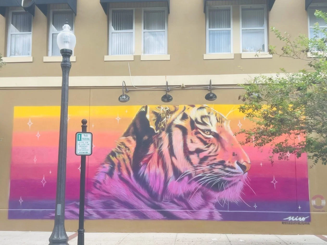 This image is of the bengal tiger mural on broadway Kissimmee Florida. It depicts the bengal tiger
