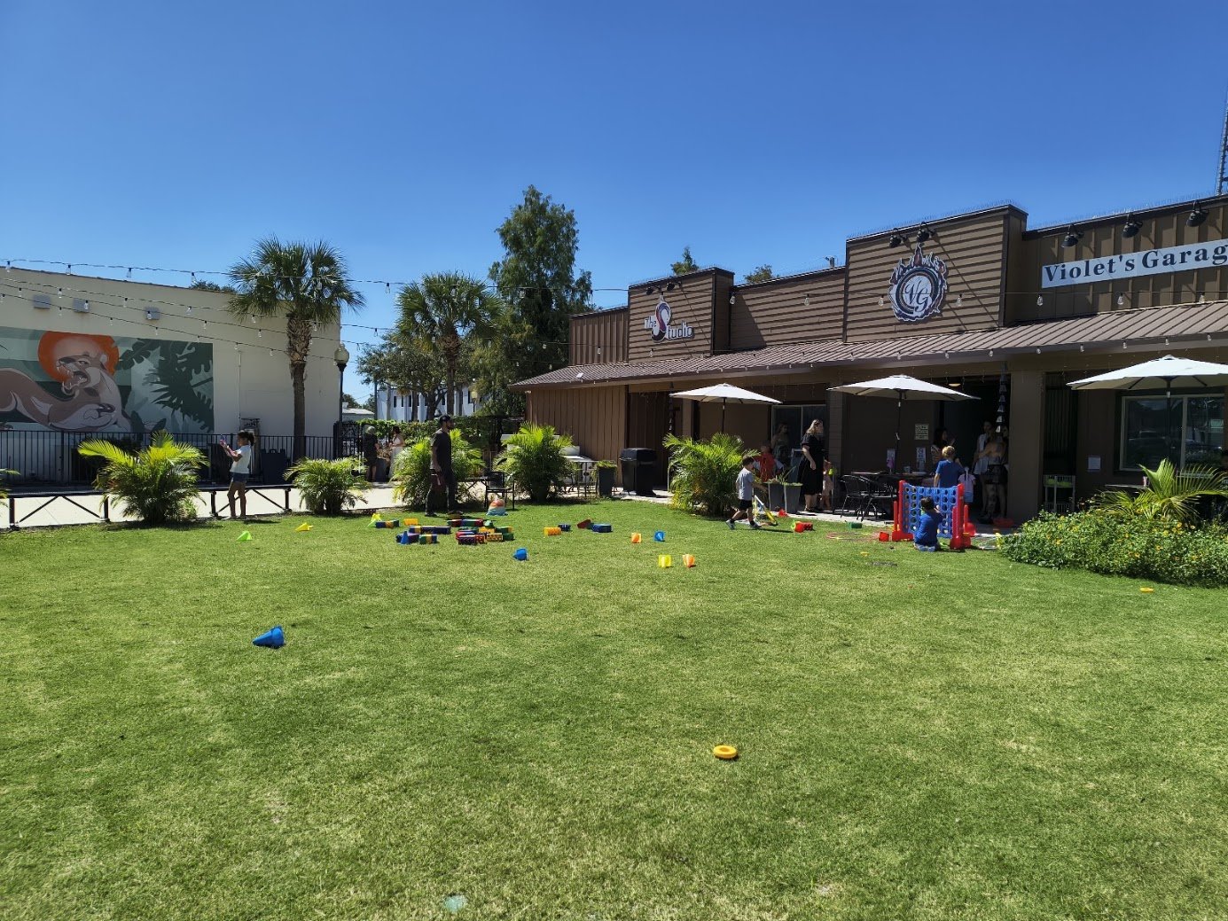 Lawn_with_kids_playing_kissimmee_like_boxi_park.jpg