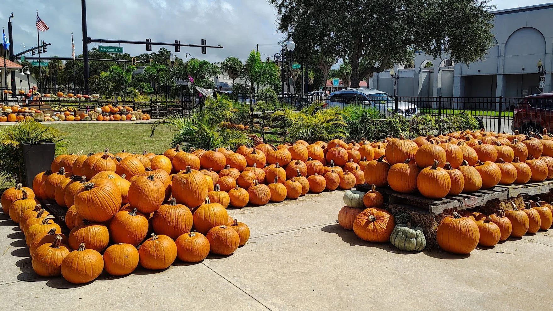 Kissimmee Main Street's Pumpkin Patch Fundraiser 