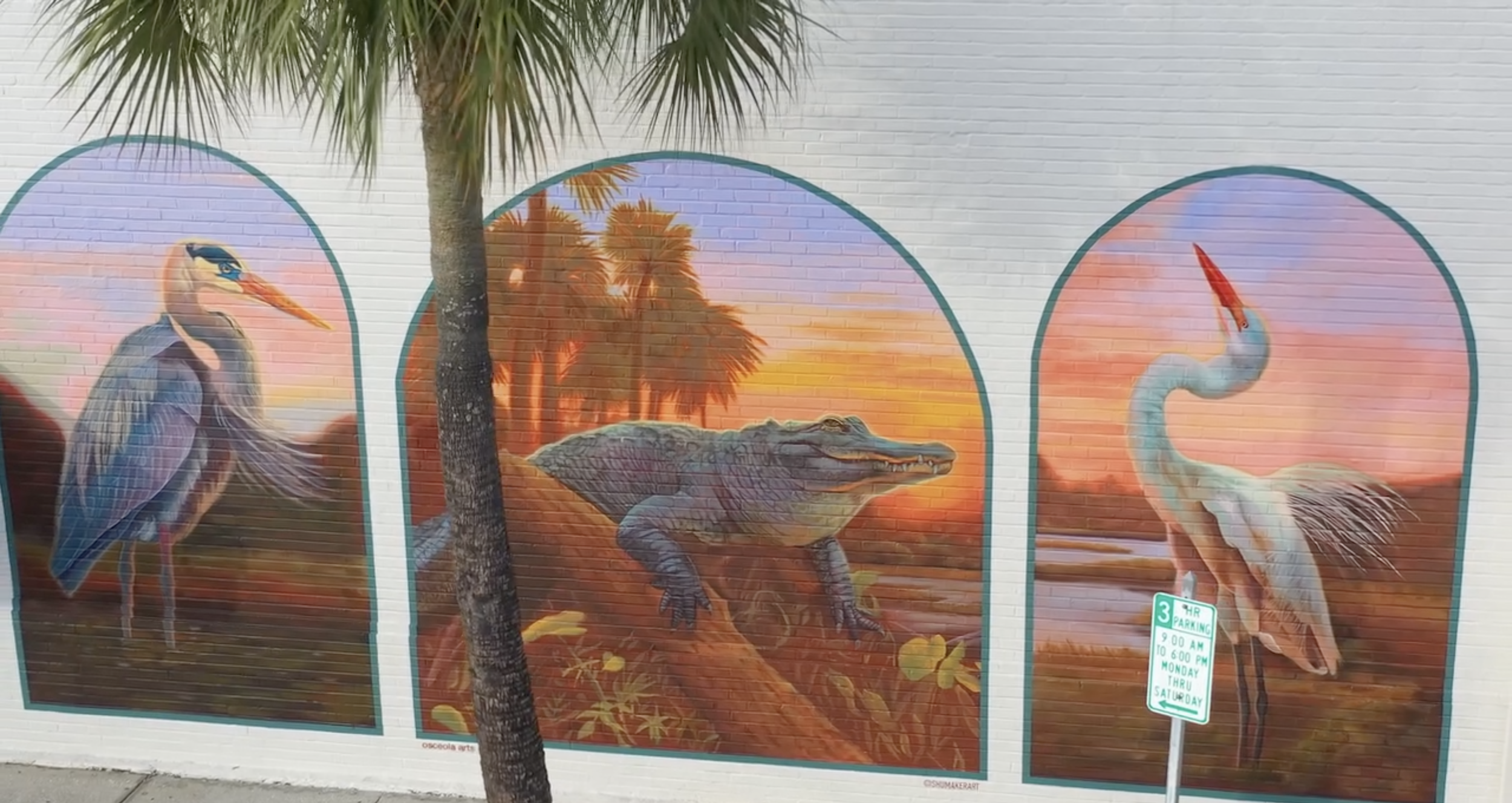 This image is of the sunrise reflections mural on broadway Kissimmee Florida. It depicts 2 herons and a gator.