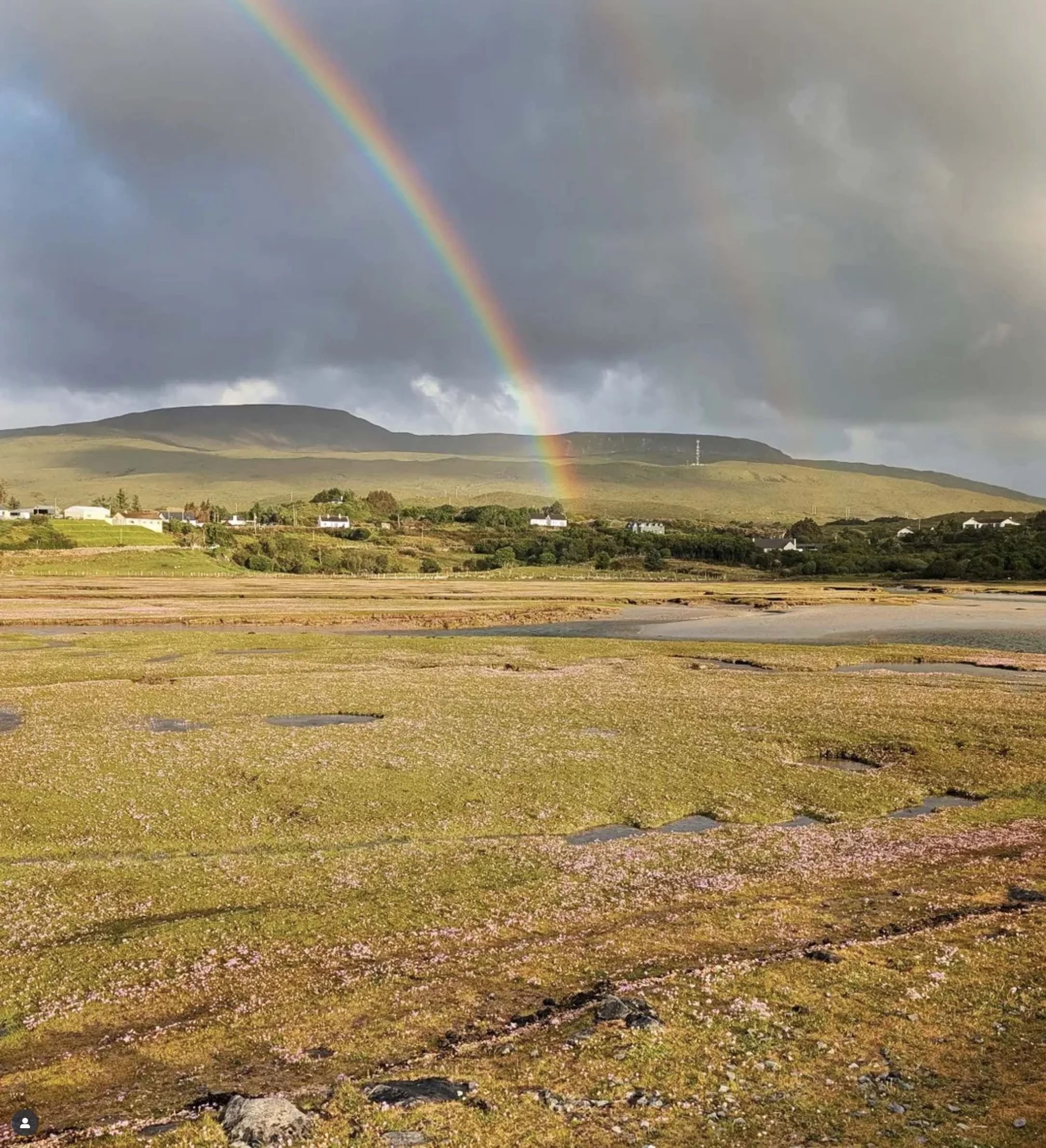 Screenshot 2025-05-30 at 16.52.26.jpg