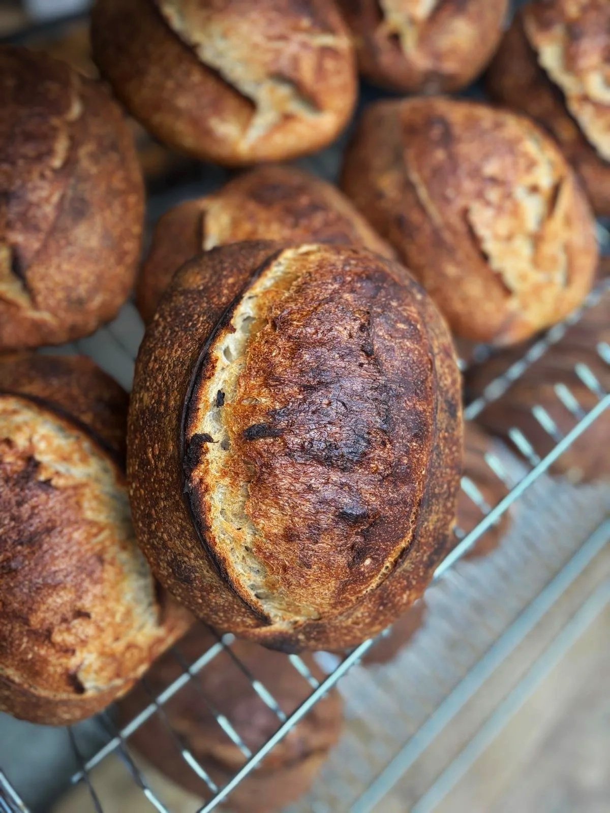 Classic White Sourdough