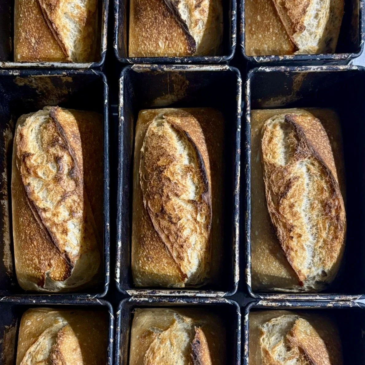 Sourdough Tin Loaves