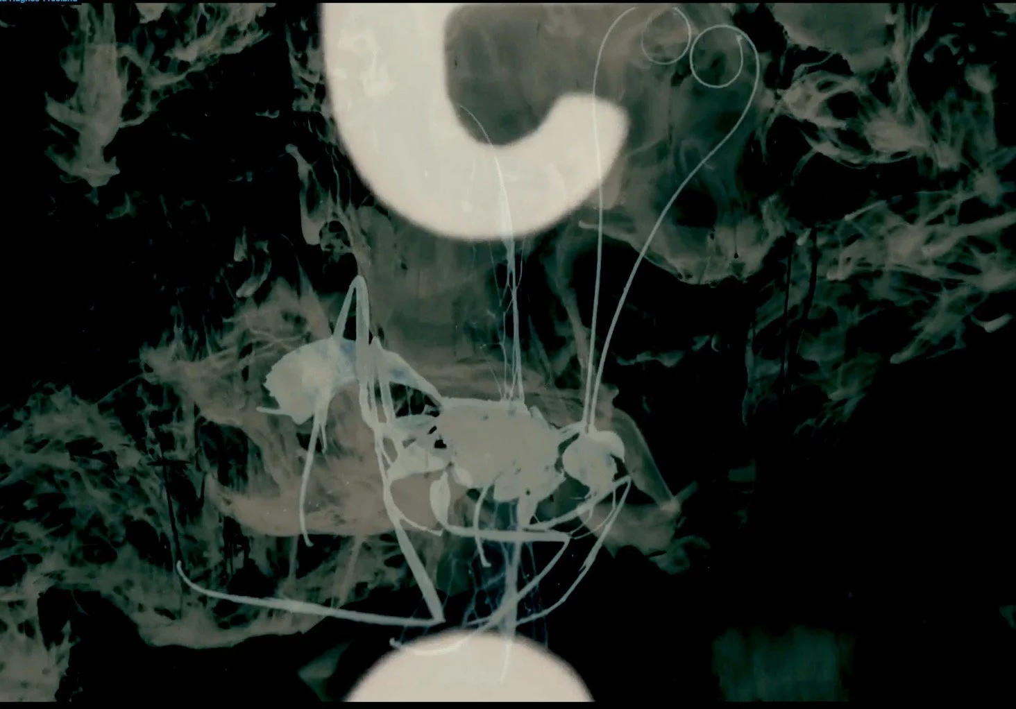 Otherwise | Video Still | 2019