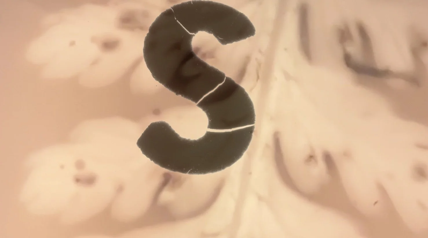 Mirage S | Video Still from Mirage | 2020