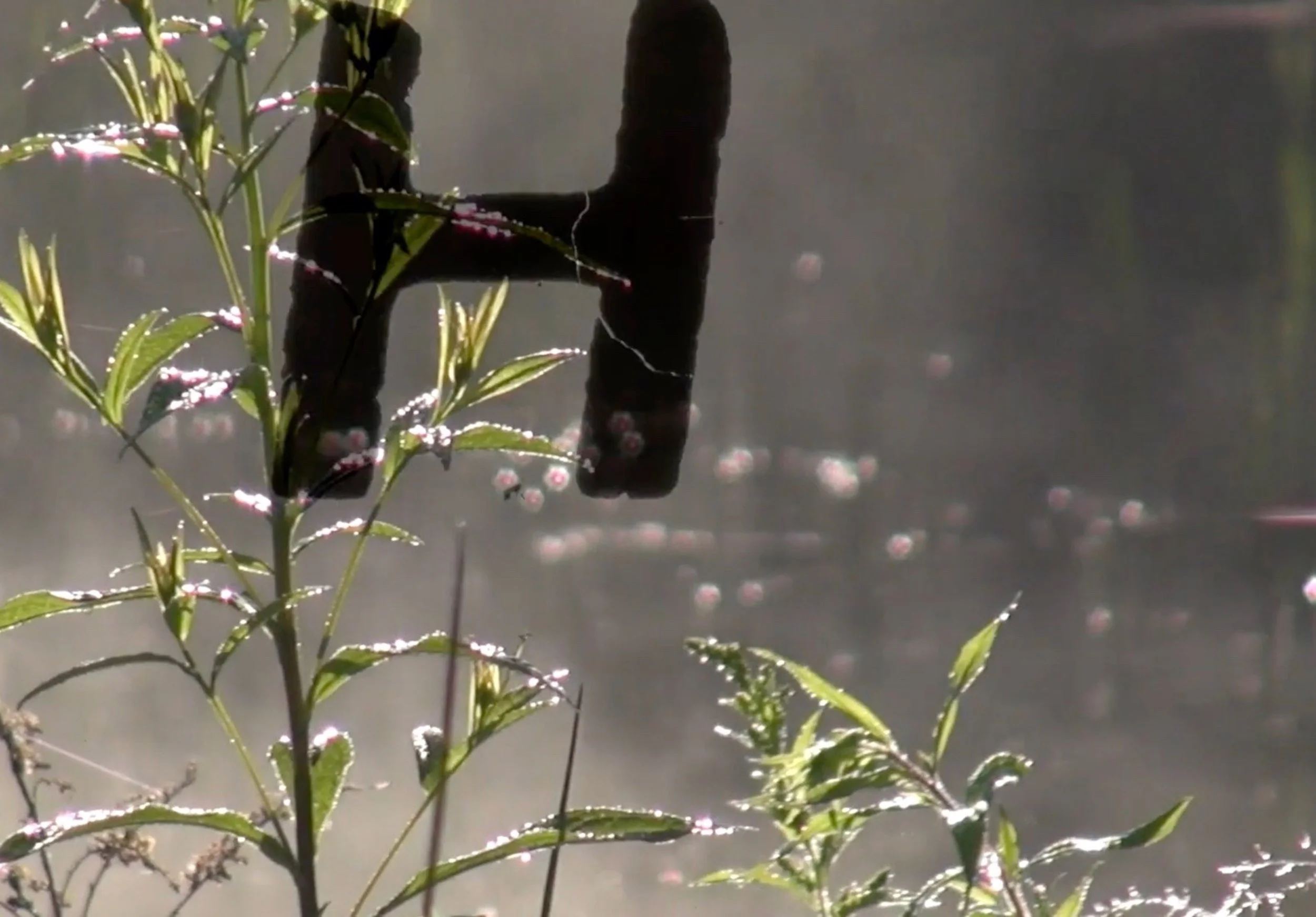 SUNDIAL H | Video Still from SUNDIAL | 2022