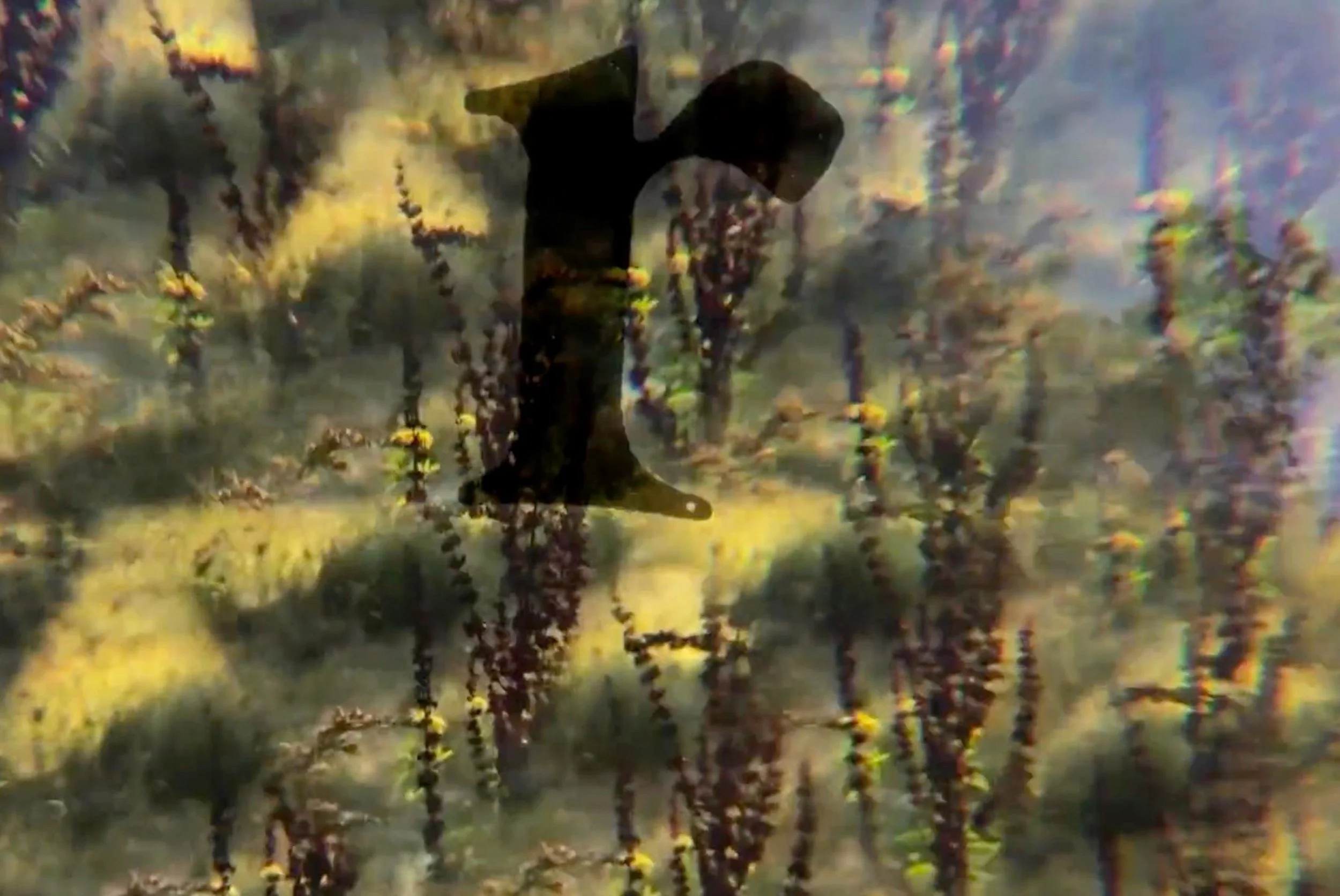 SUNDIAL r | Video Still from SUNDIAL | 2022