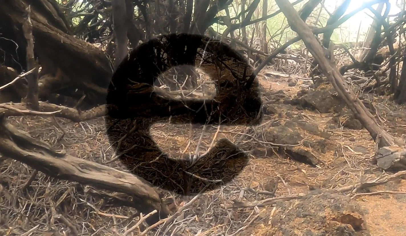 Mirage e | Video Still from Mirage | 2020