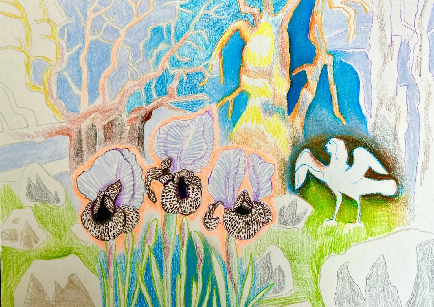 Irises and Harpy | colored pencil | 9 by 12 inches | 2023