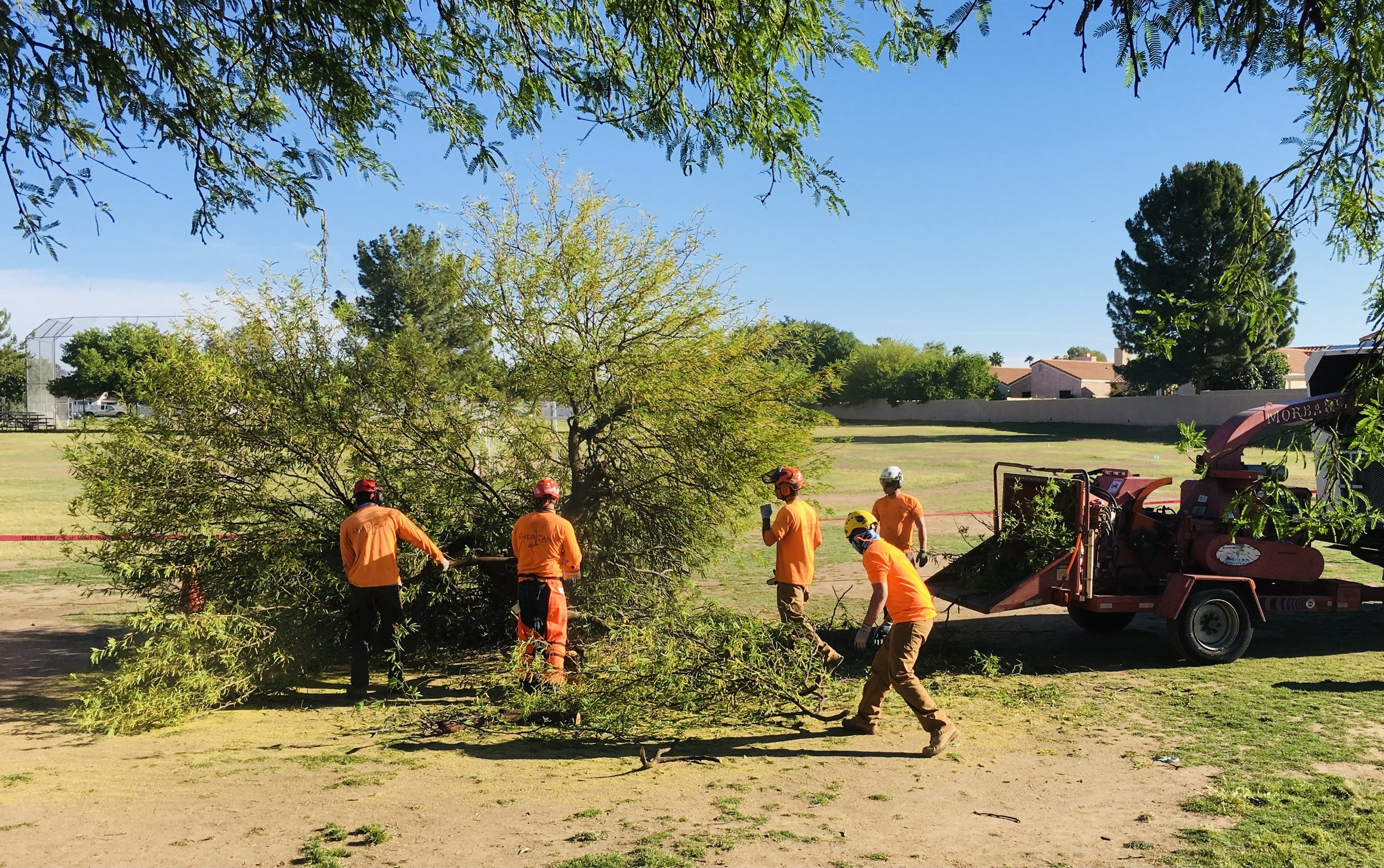 Carolina Roots Stump Grinding, LLC (Arborist in Shelby)