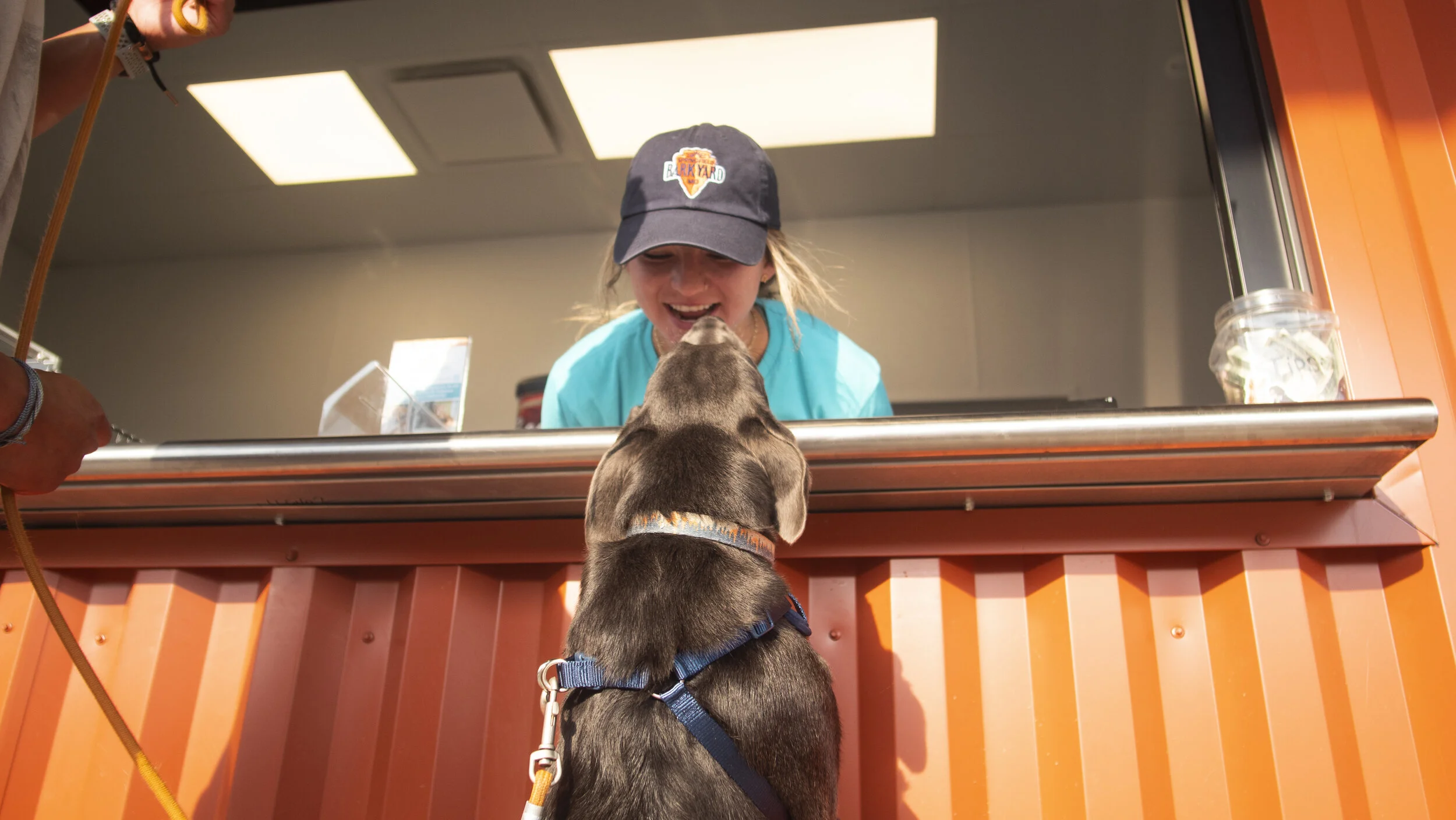 The Barkyard - Off-Leash Dog Park