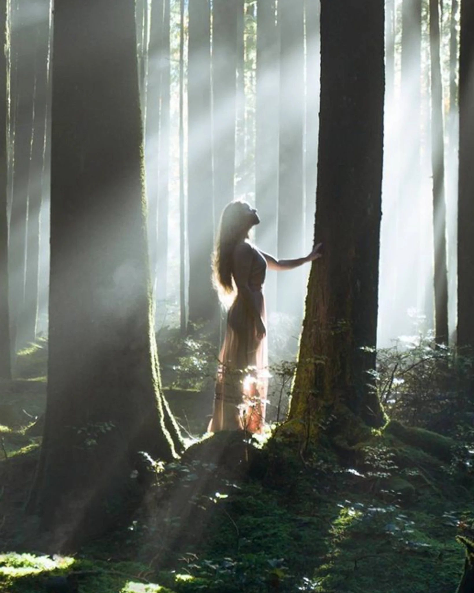 Screenshot 2026-03-16 at 4.40.10 PM (2).jpg