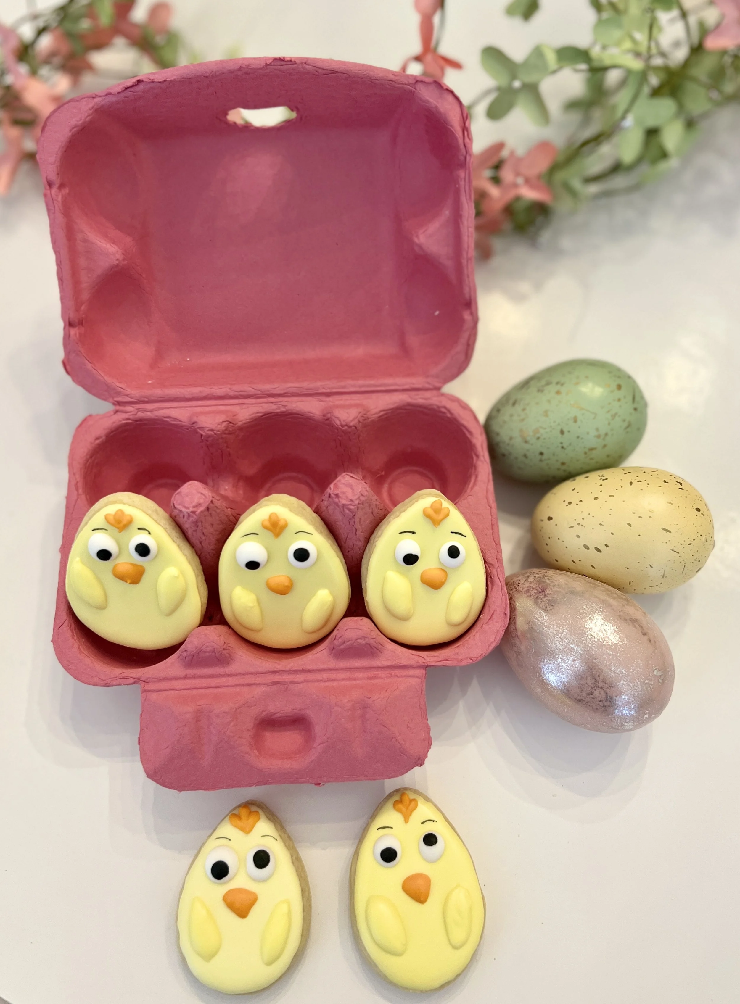 Baby Chicks 6 pack.jpg