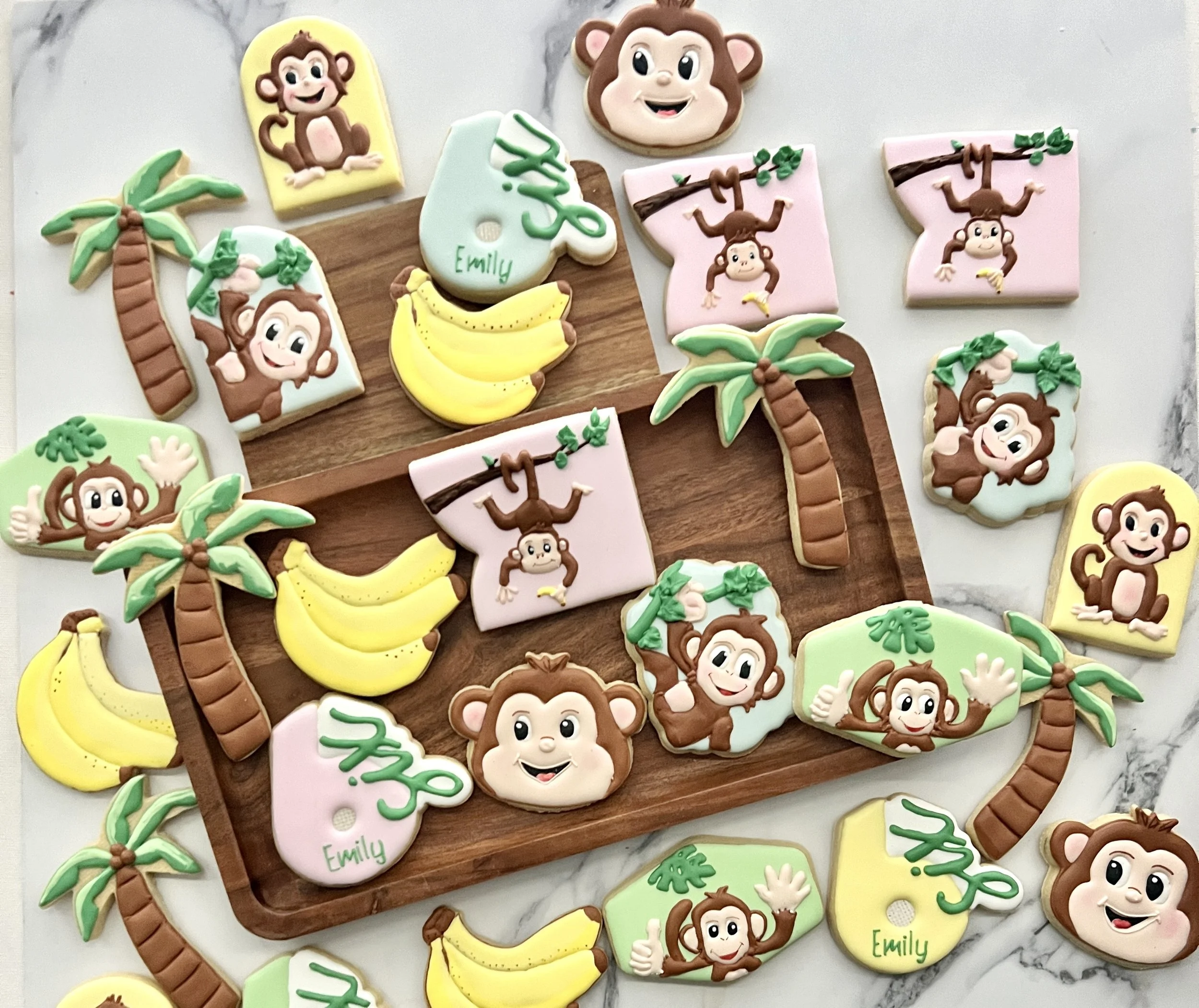 Monkey Emily 6.jpg