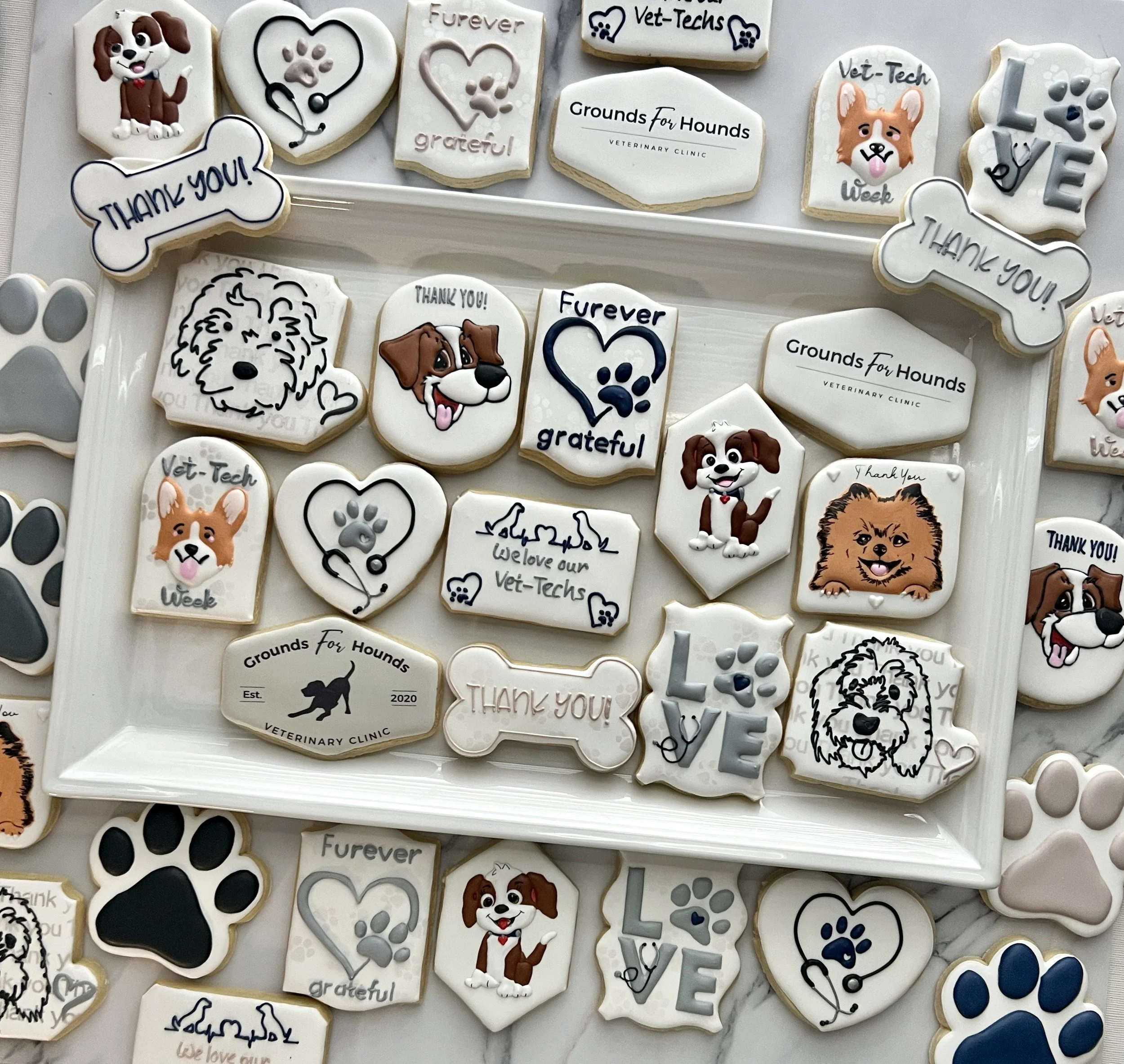 Vet Tech thank you G4H.JPG