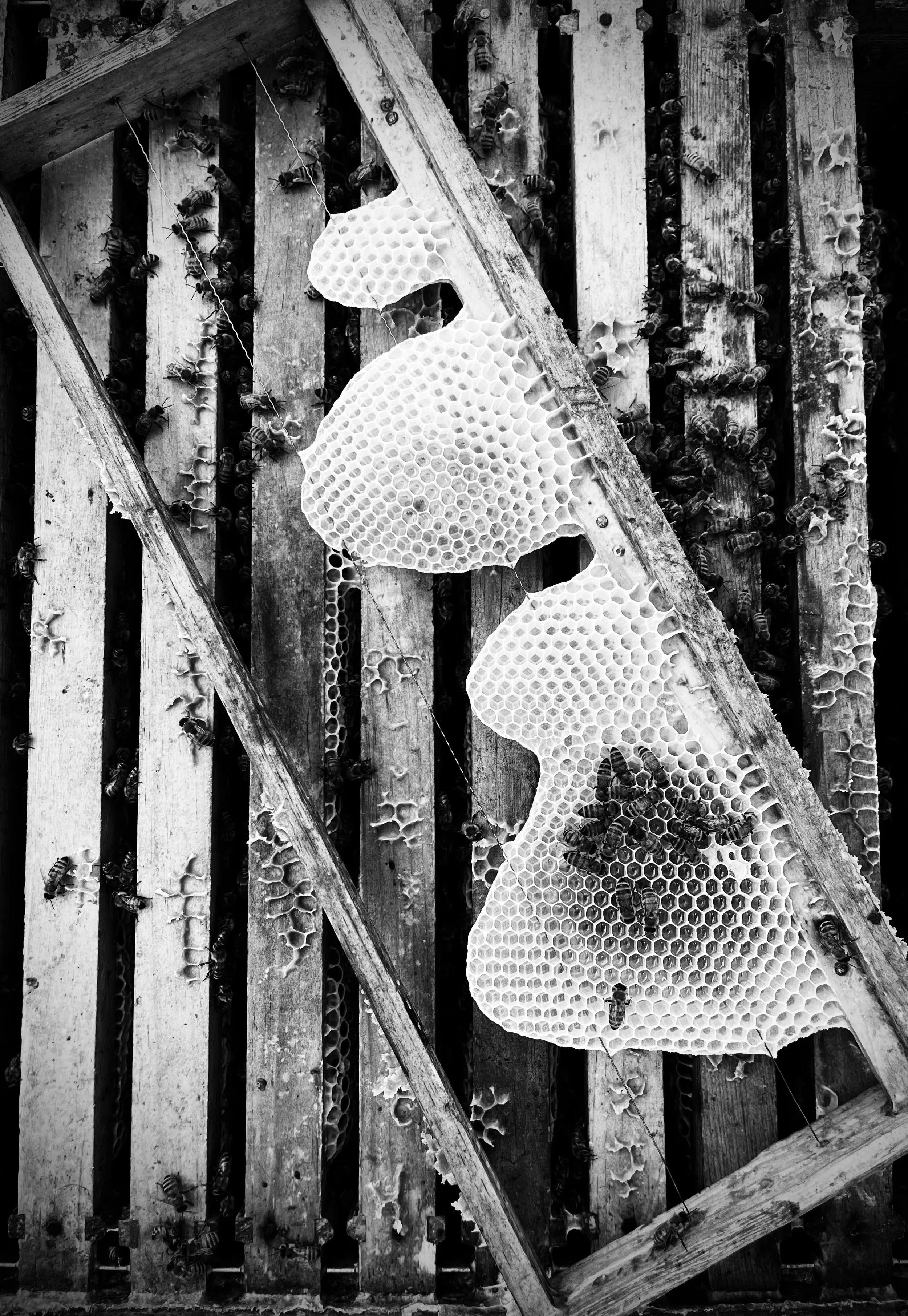 Shop Hours - no appointment needed