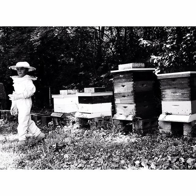 3rd SWOBA BEGINNER BASICS BEEKEEPING CLASSS