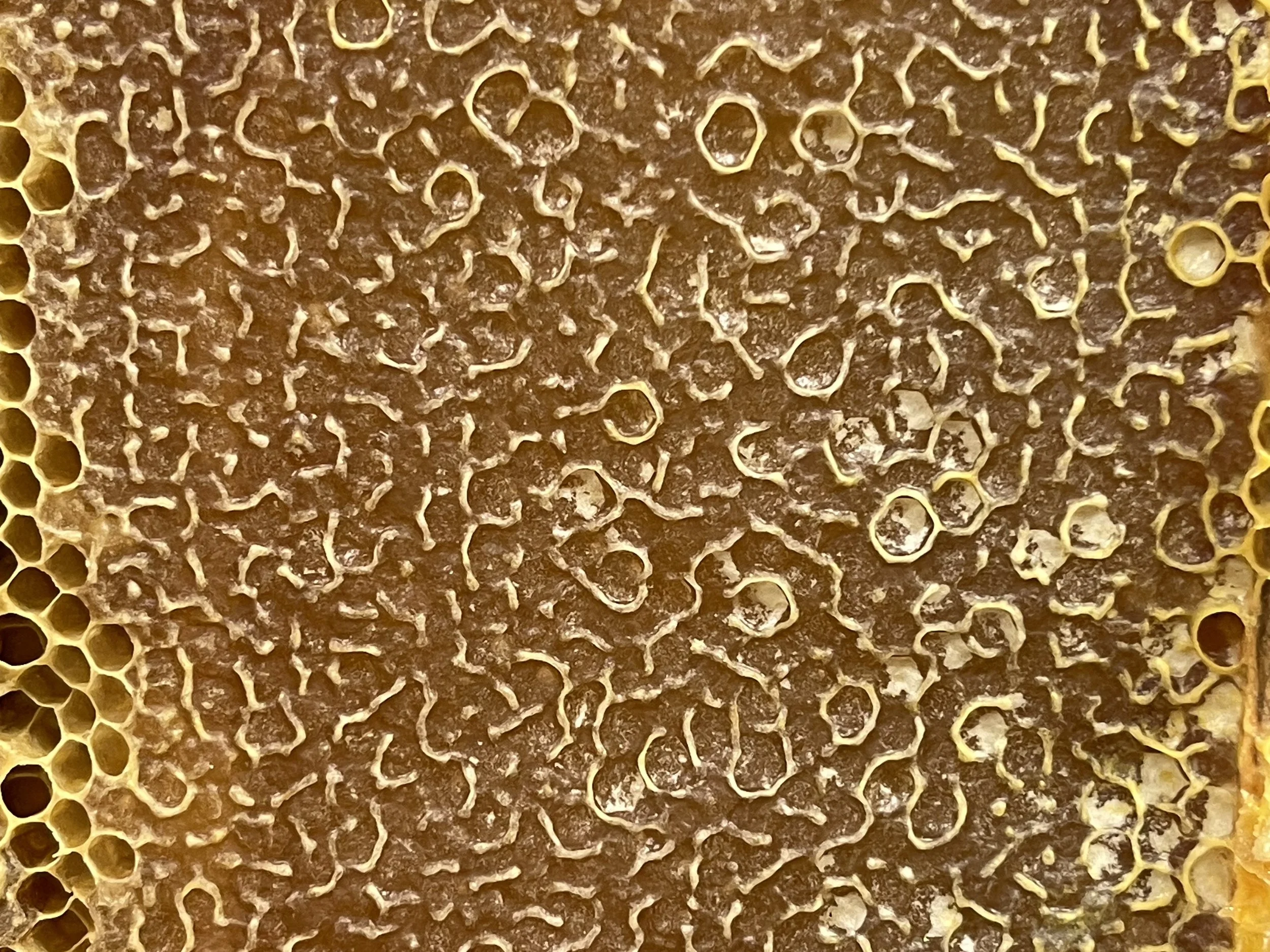 Store CLOSED - one week