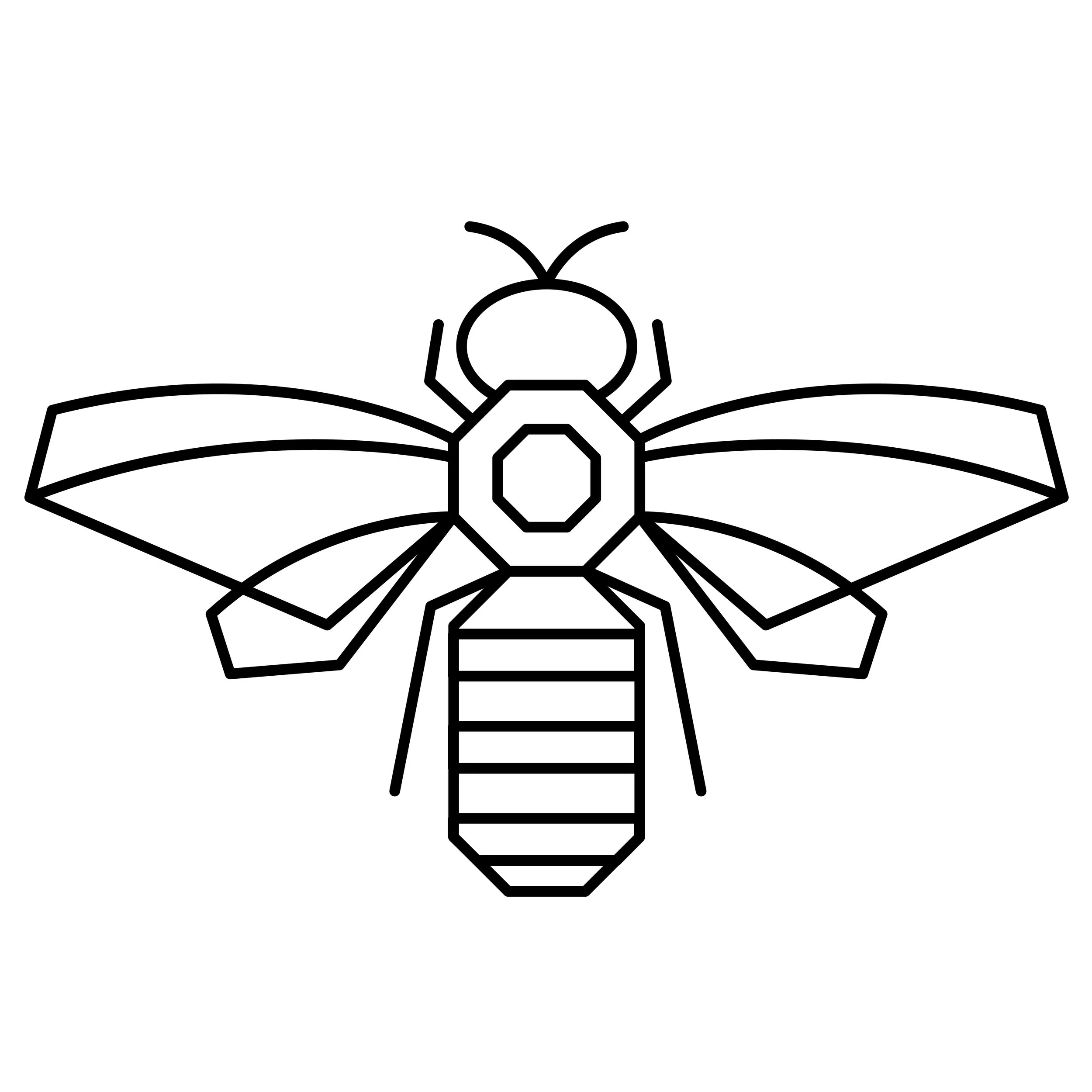 Honey Shop - Open EVERY SATURDAY