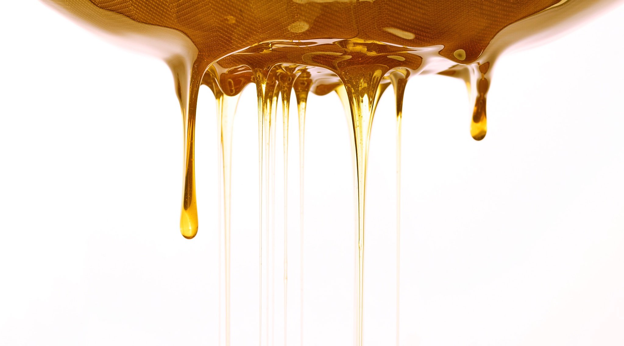 GRAND OPENING - HONEY SHOP