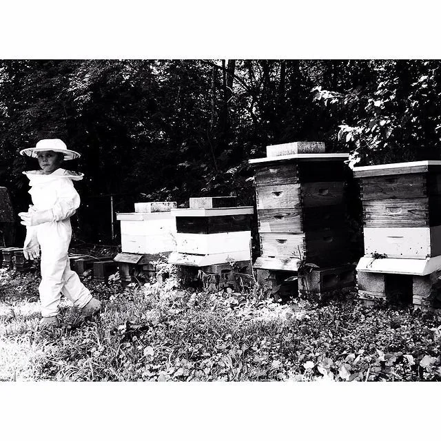 FALL BEEKEEPING CLASS - 1st-3rd year beekeepers