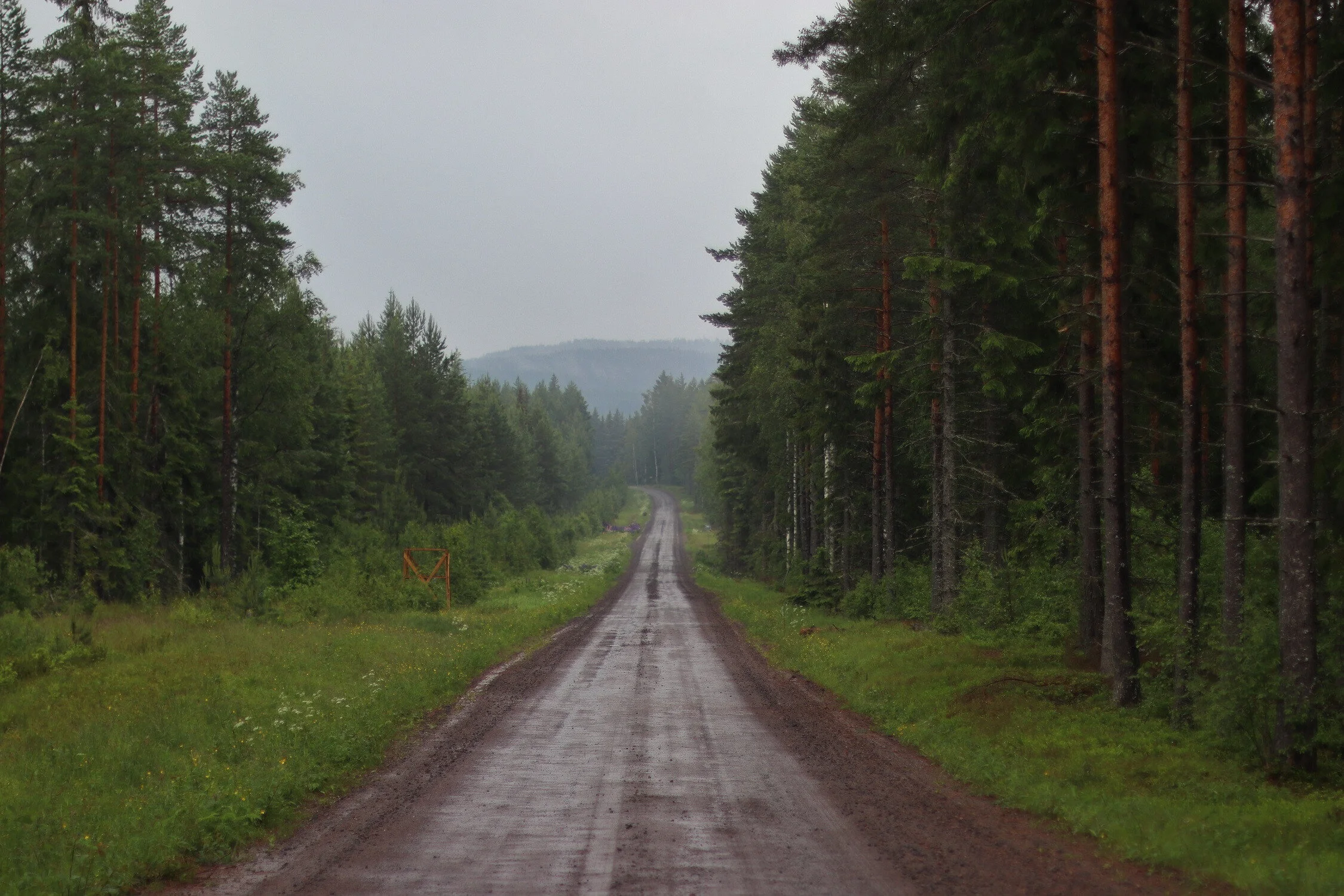Dieses Foto zeigt eine Schotterstraße durch die Landschaft in Schweden.