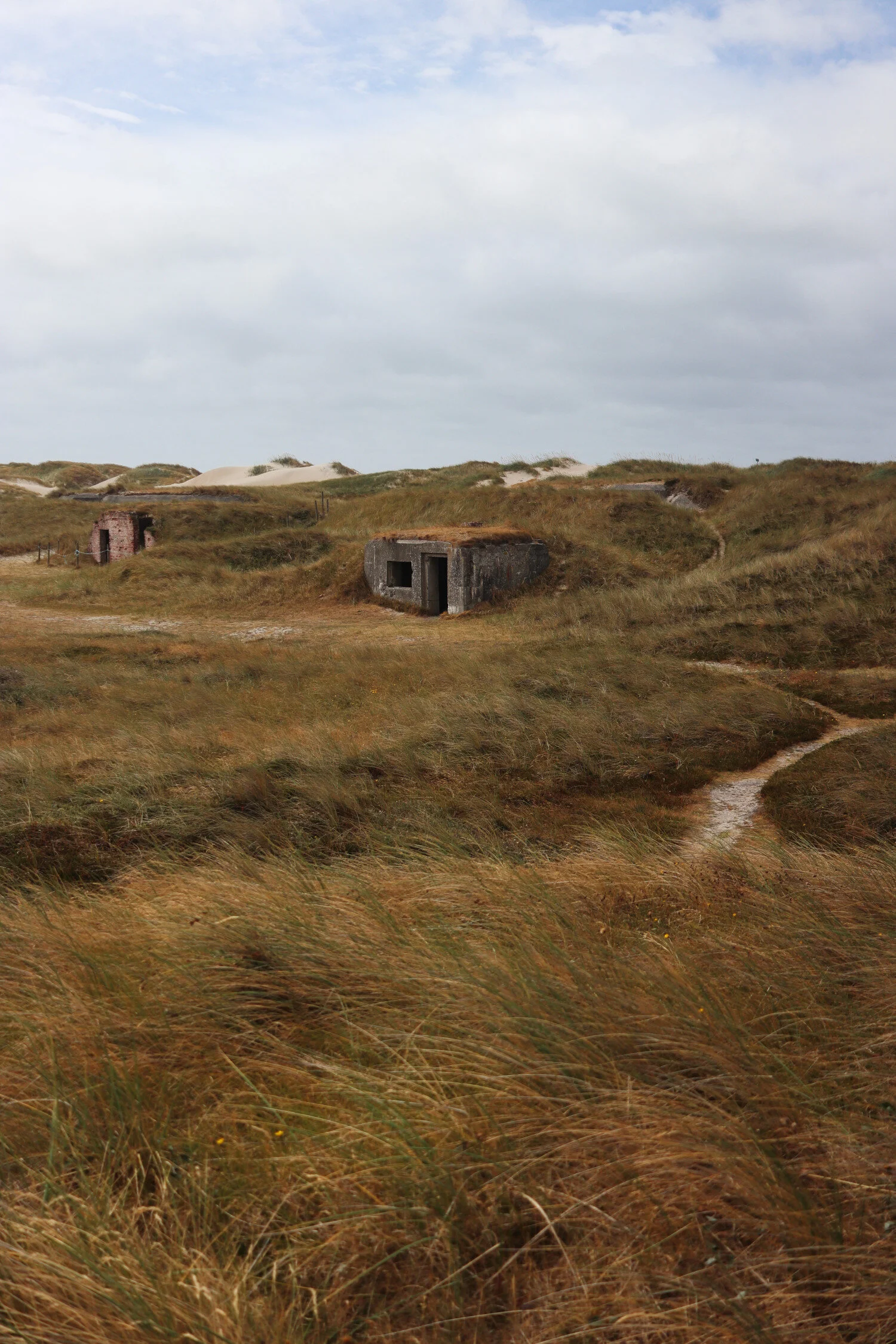 Dieses Foto zeigt Dünenlandschaft mit Bunkern in Dänemark.