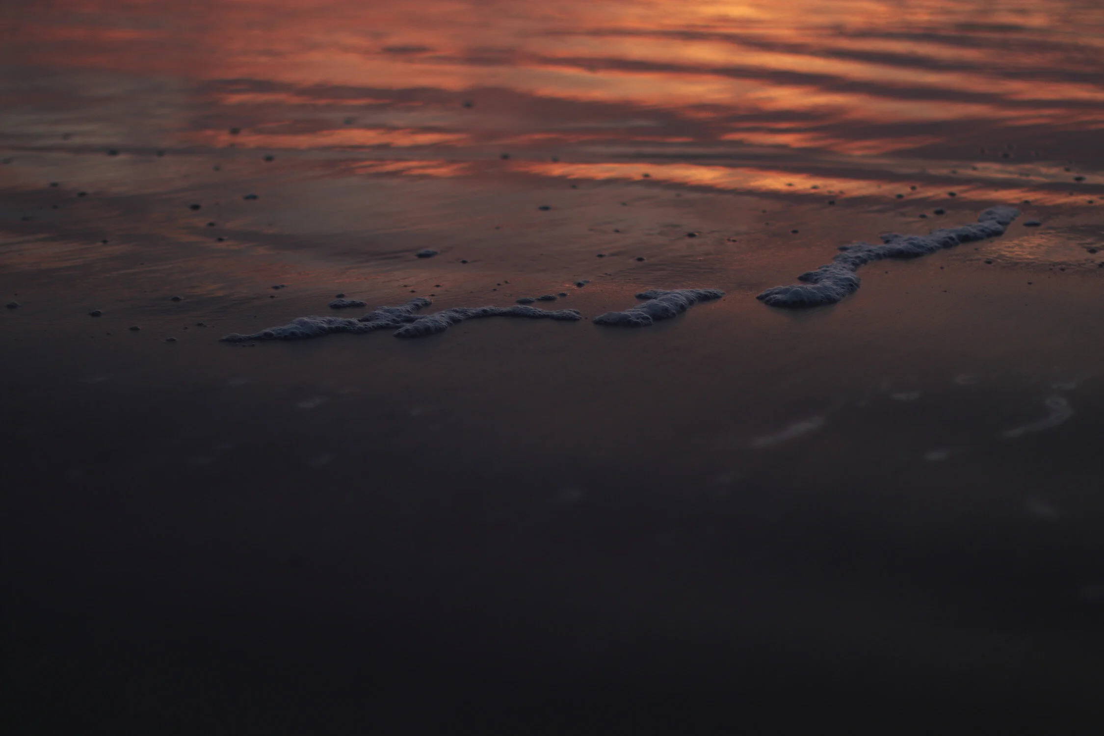 Dieses Foto zeigt Details am Meer im Sonnenuntergang in Dänemark.