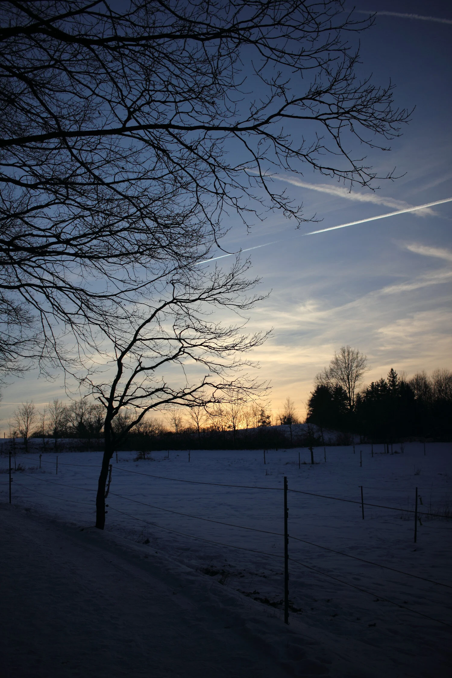 Dieses Foto zeigt eine winterliche Landschaft mit Abendhimmel.